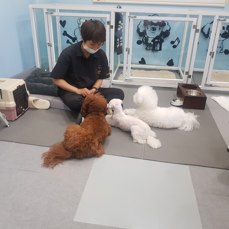 아이 러브 펫 대표 이미지