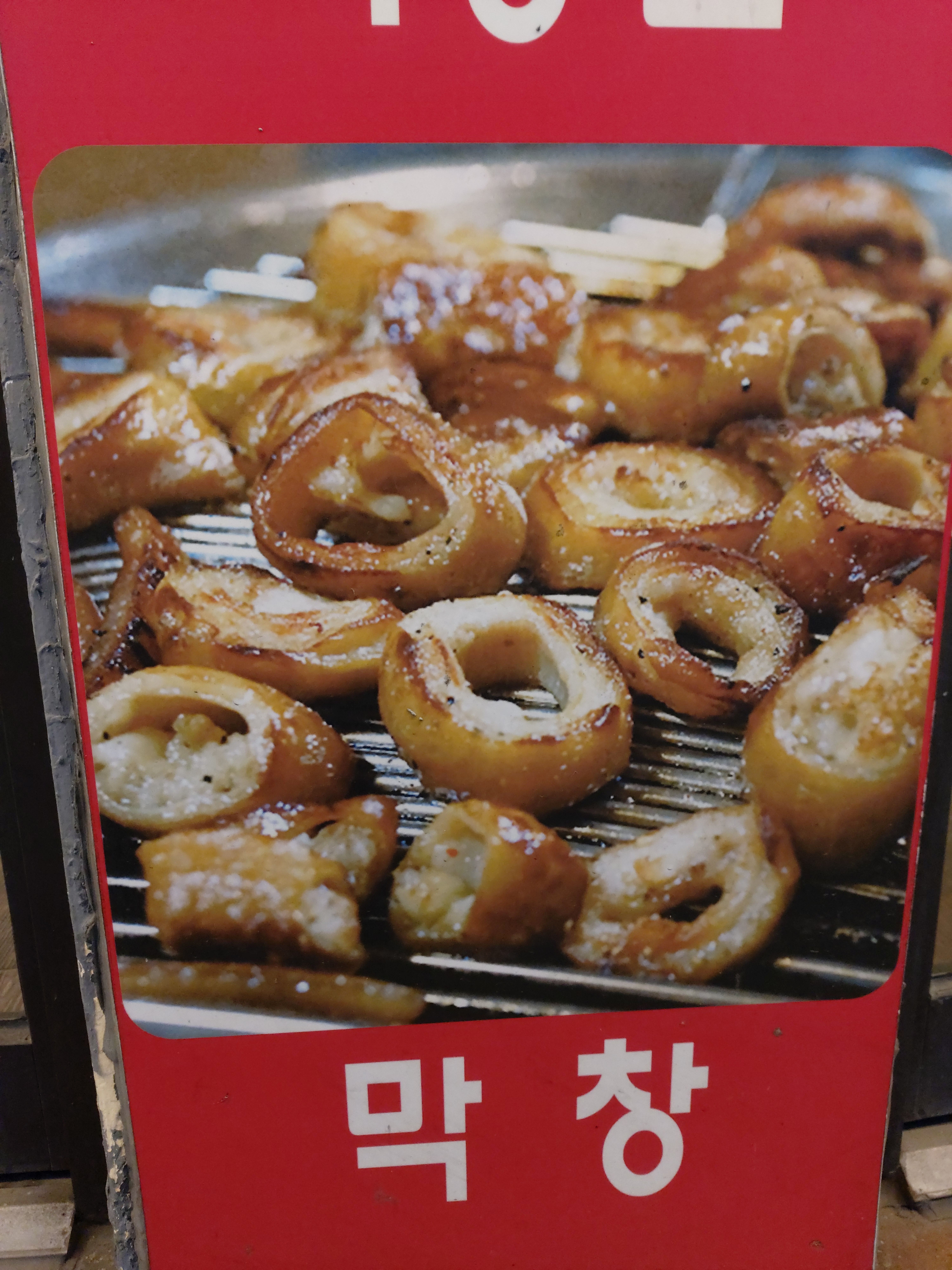 돼지꿈꾸다