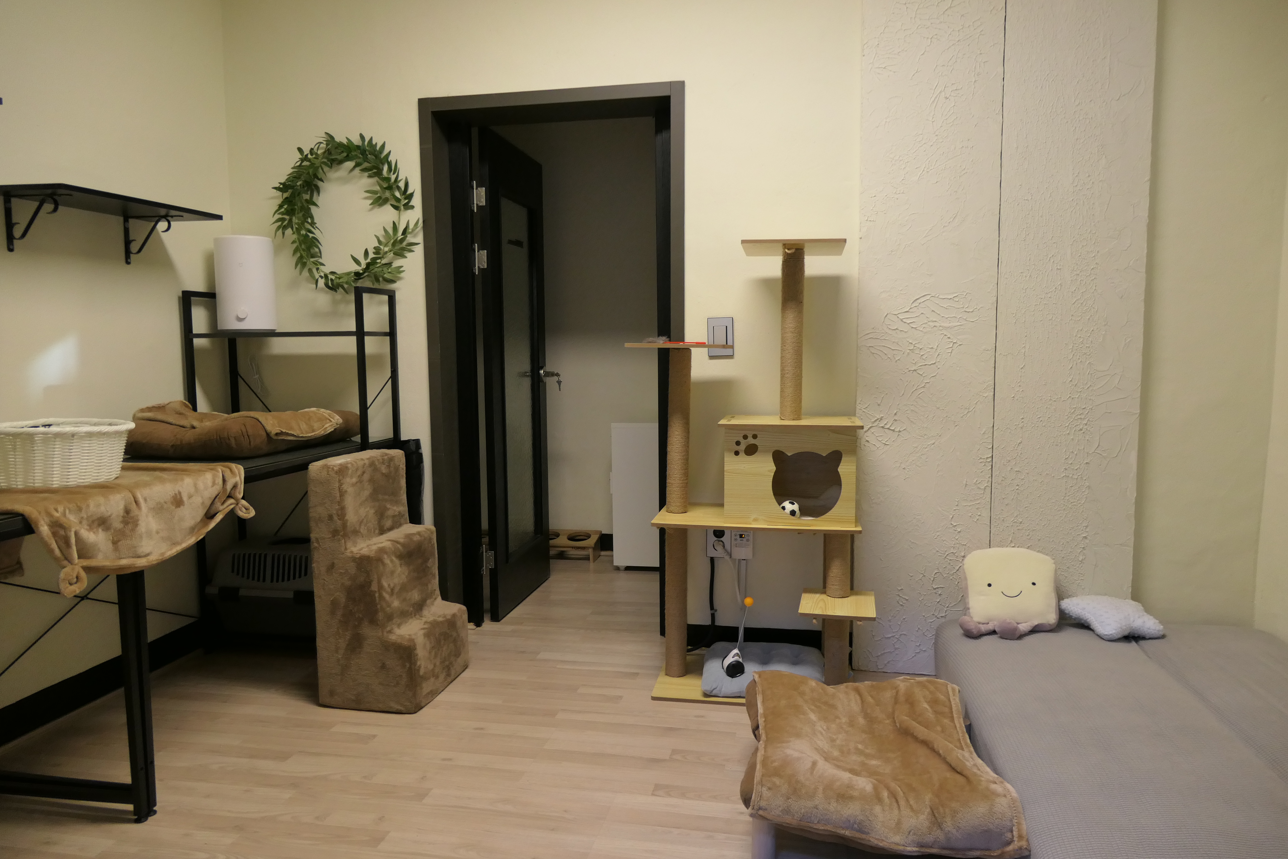 포레스트캣호텔 대표 이미지