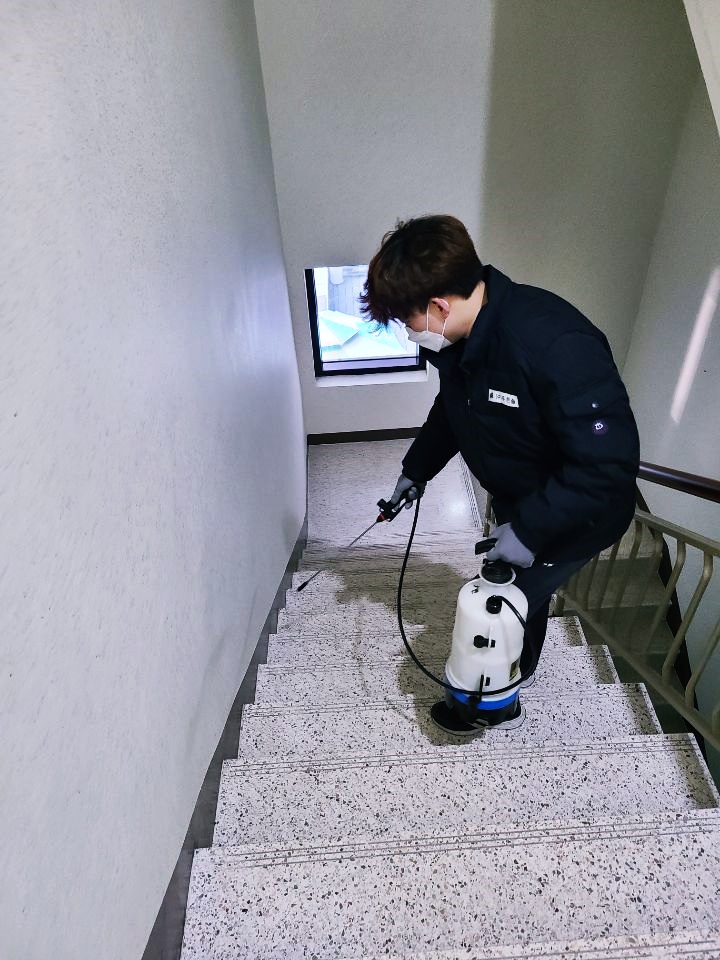푸른솔