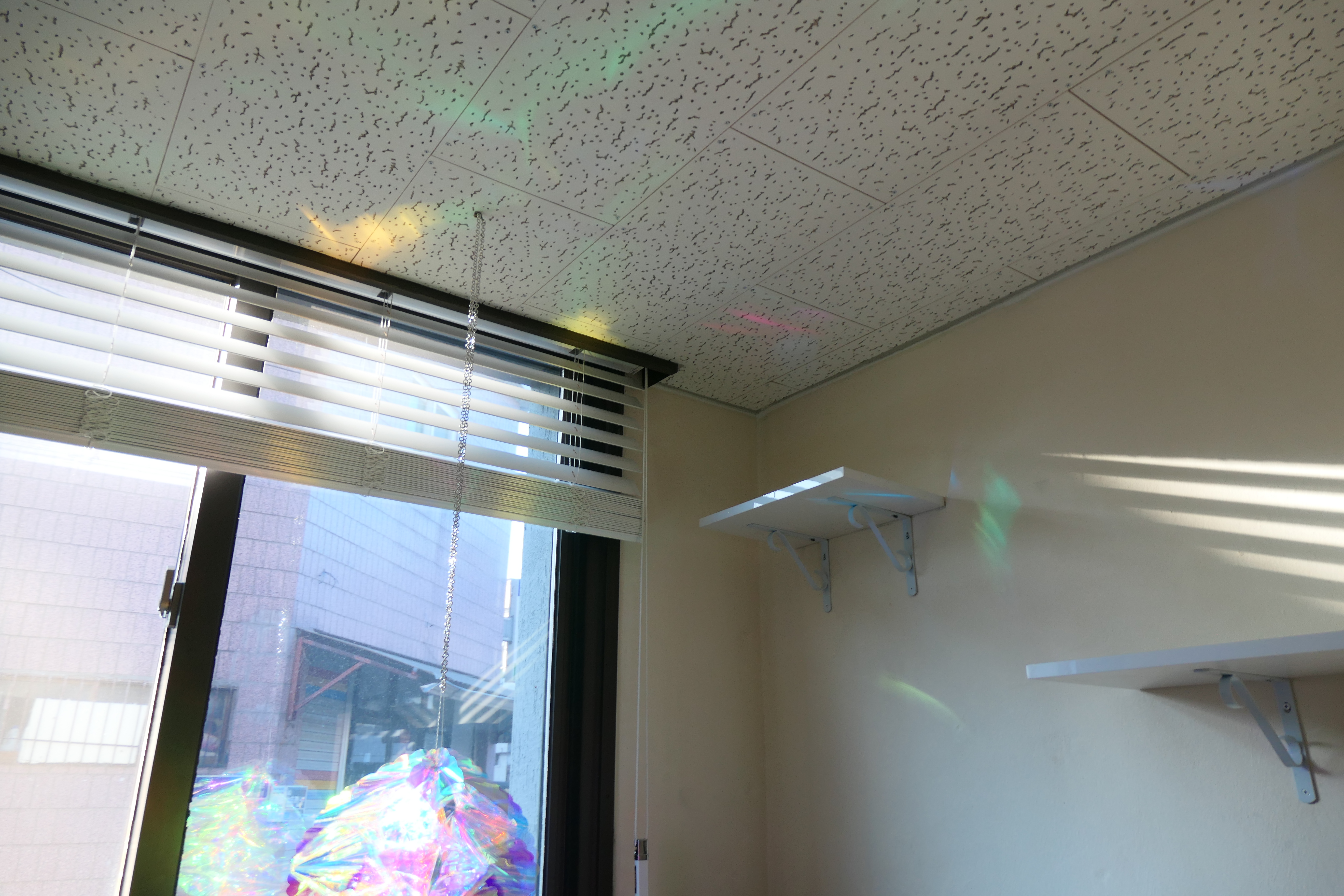 포레스트캣호텔 대표 이미지