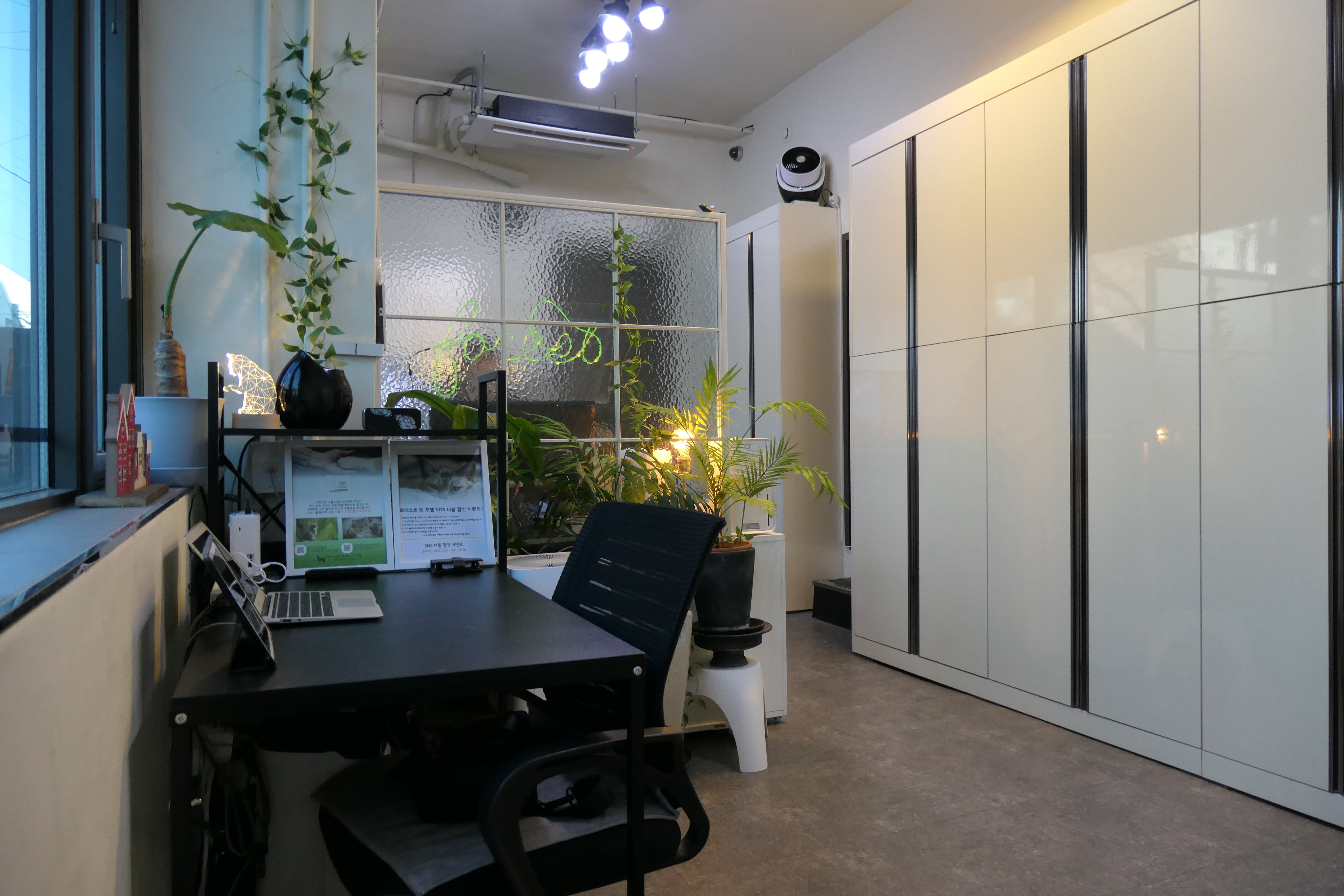 포레스트캣호텔 대표 이미지