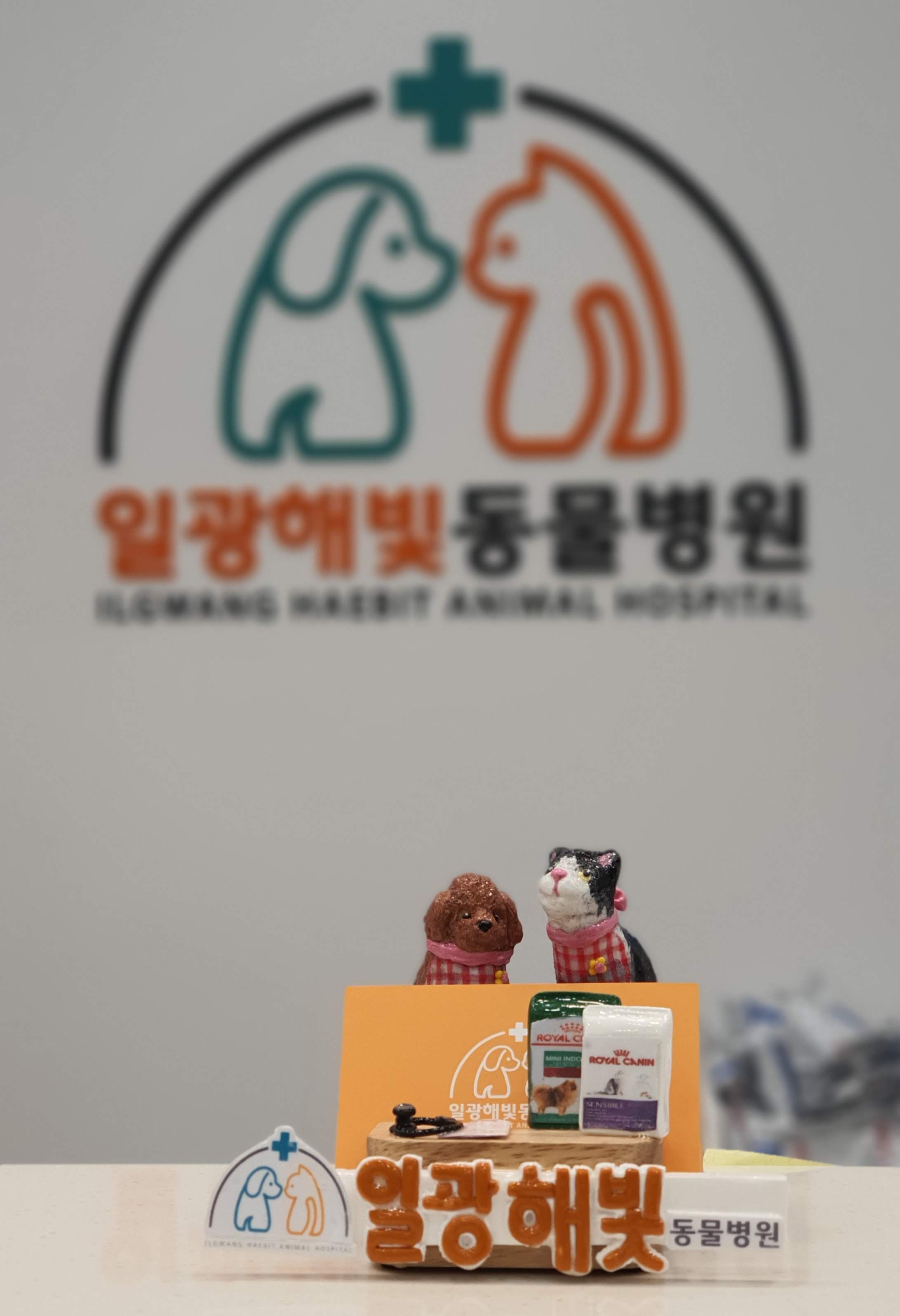 일광해빛동물병원 대표 이미지