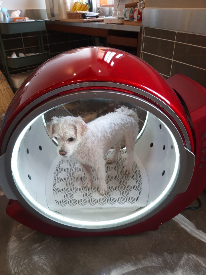 한성동물병원 대표 이미지