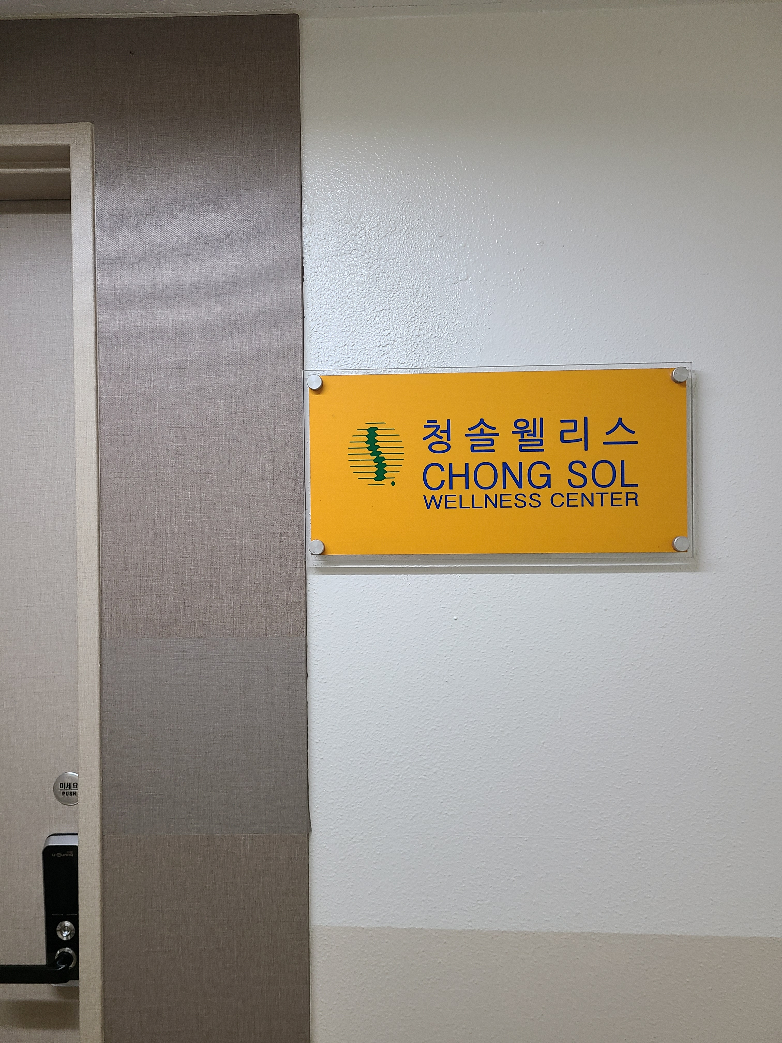 청솔웰리스