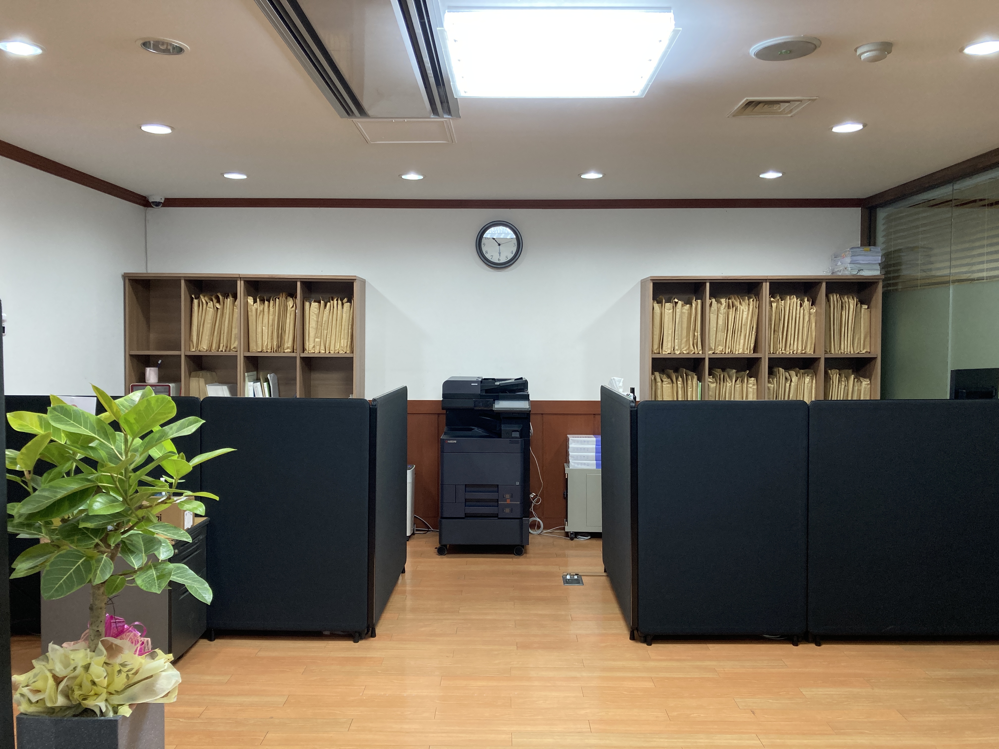 법률사무소 신신 대표 이미지