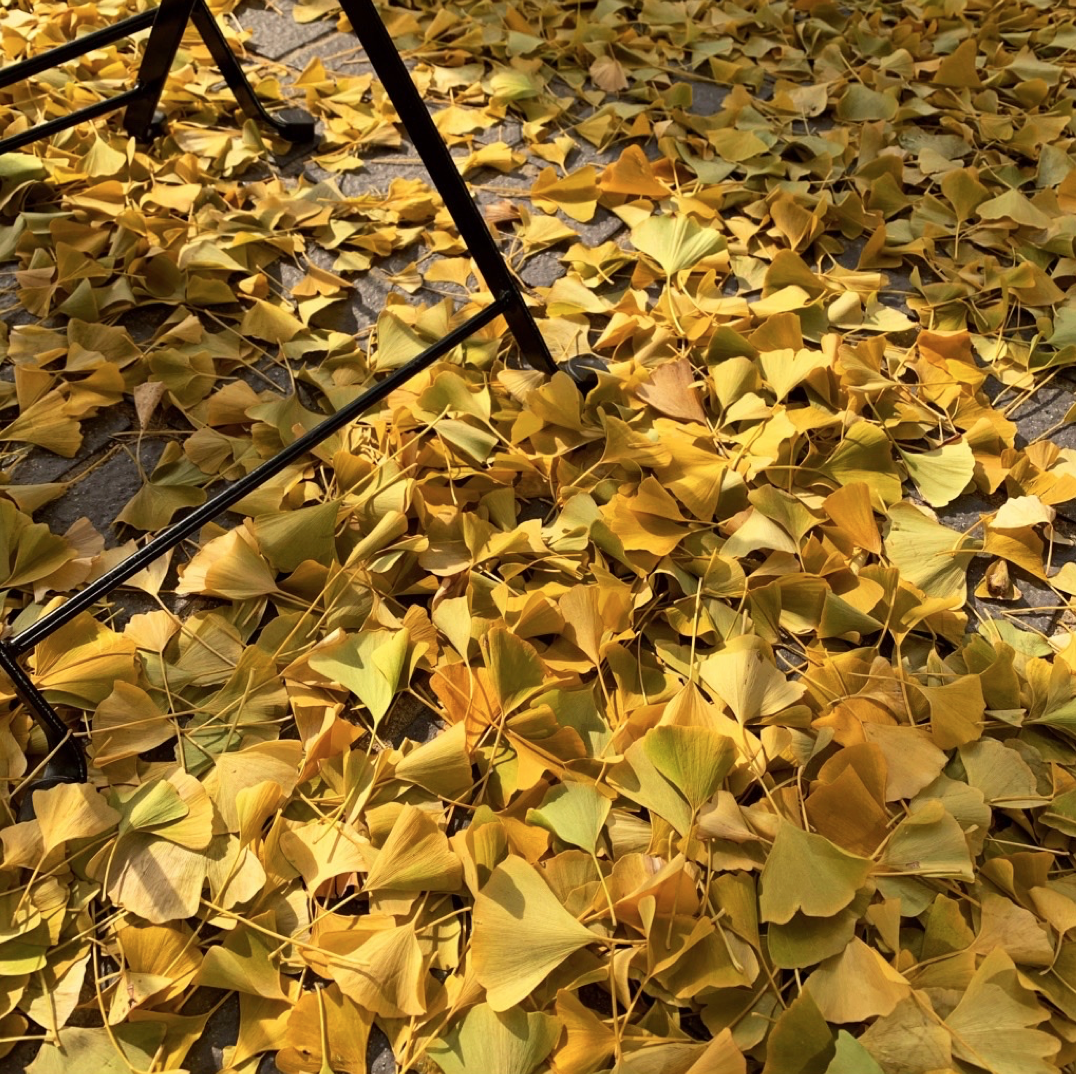 스태픽스 대표 이미지