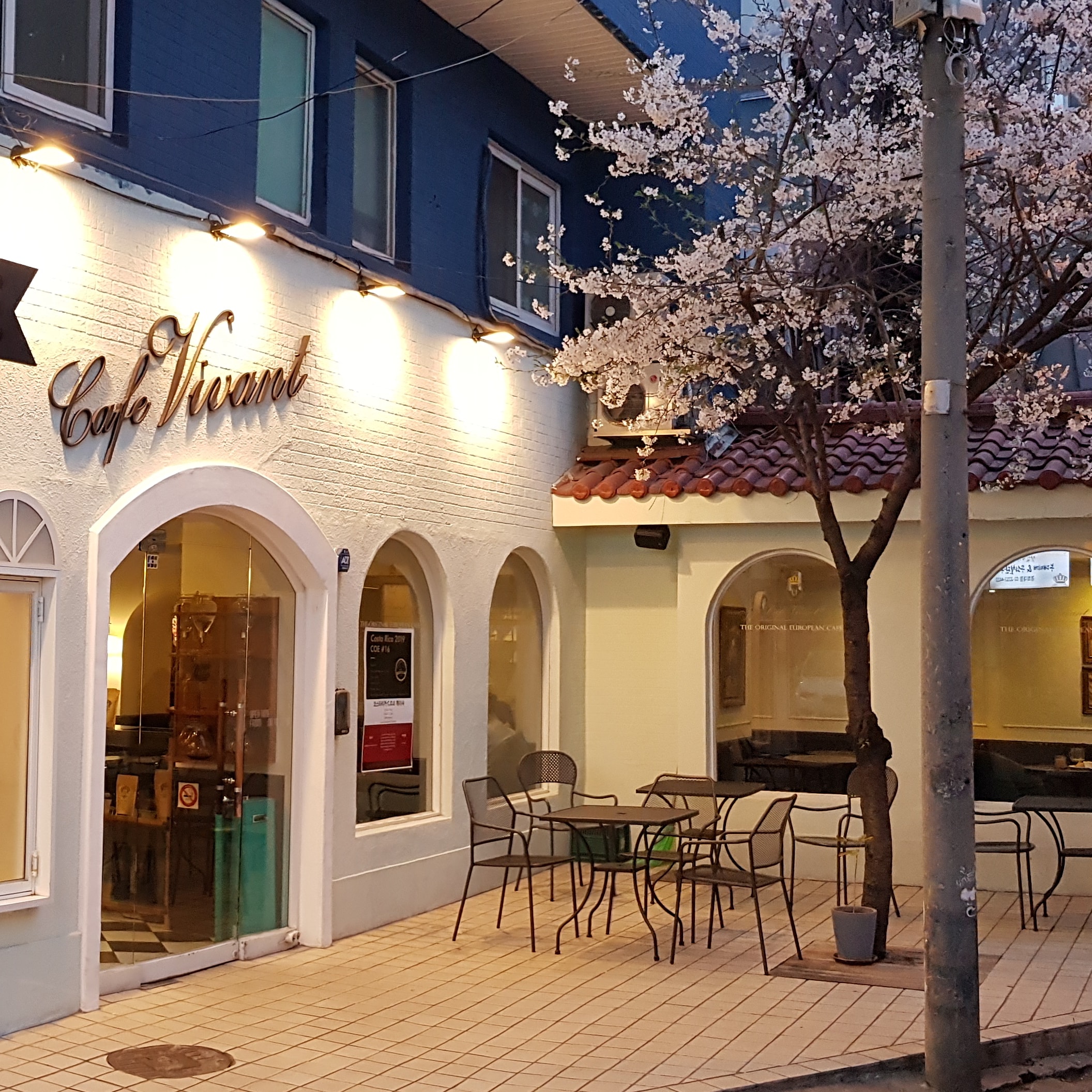 비반트 2