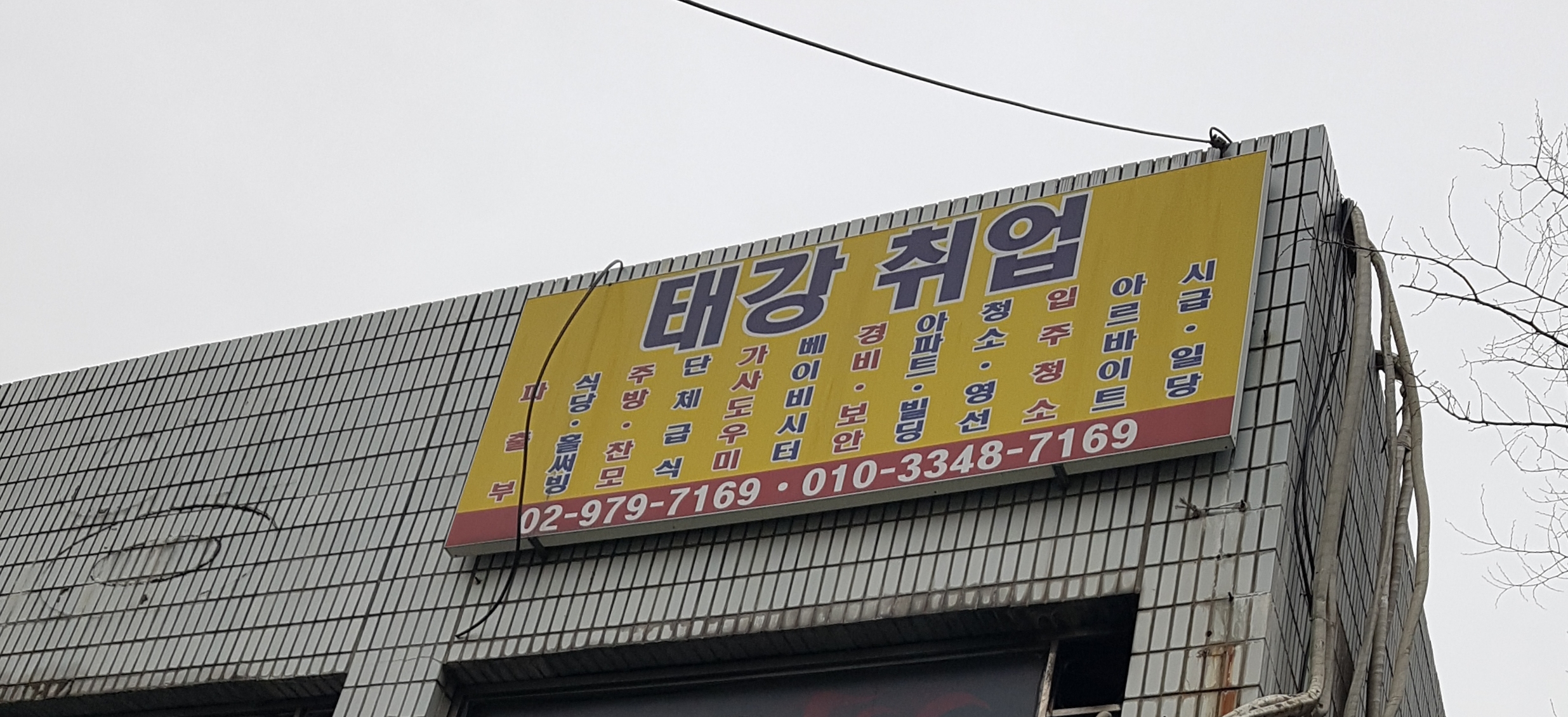 태강직업소개소