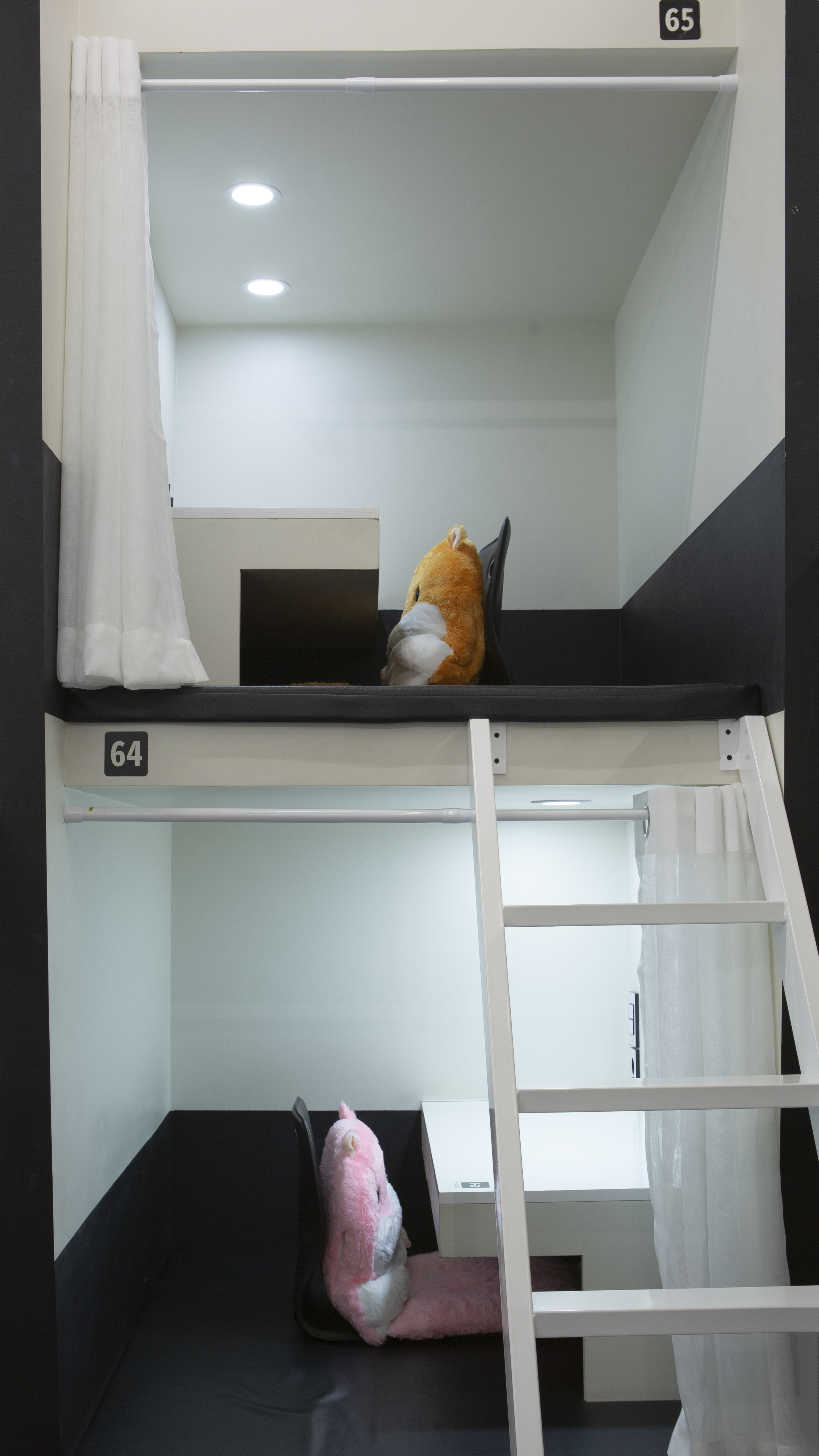 업체사진