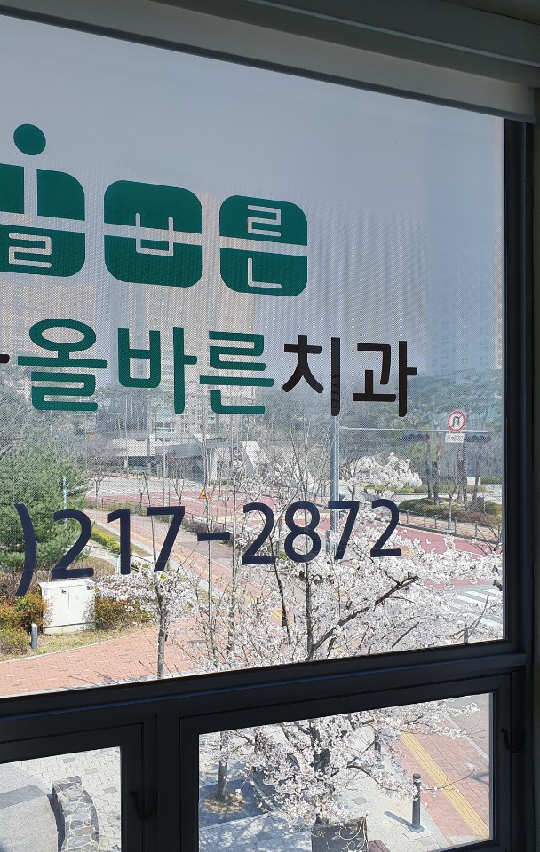 서울올바른치과