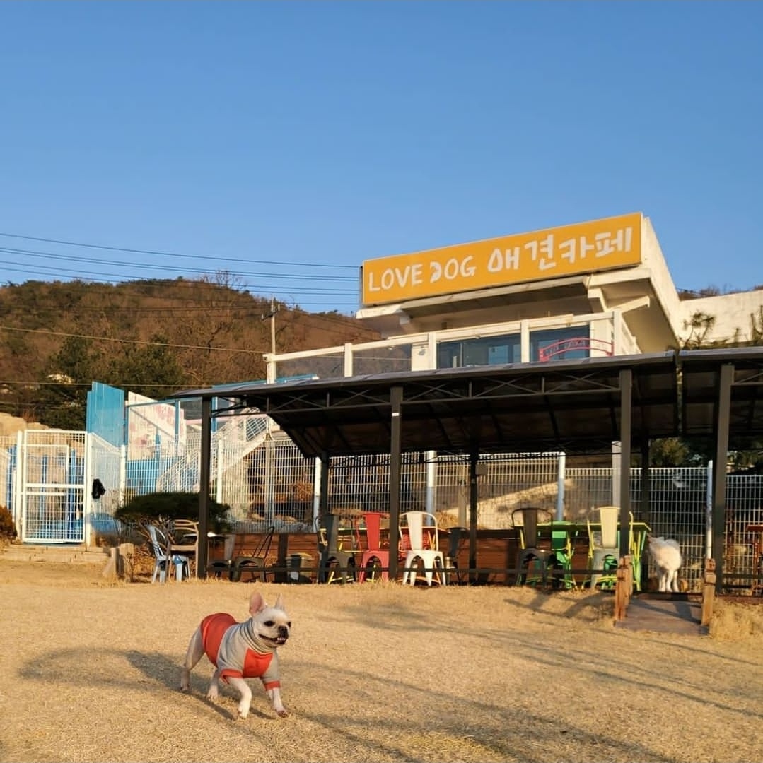 사진 4