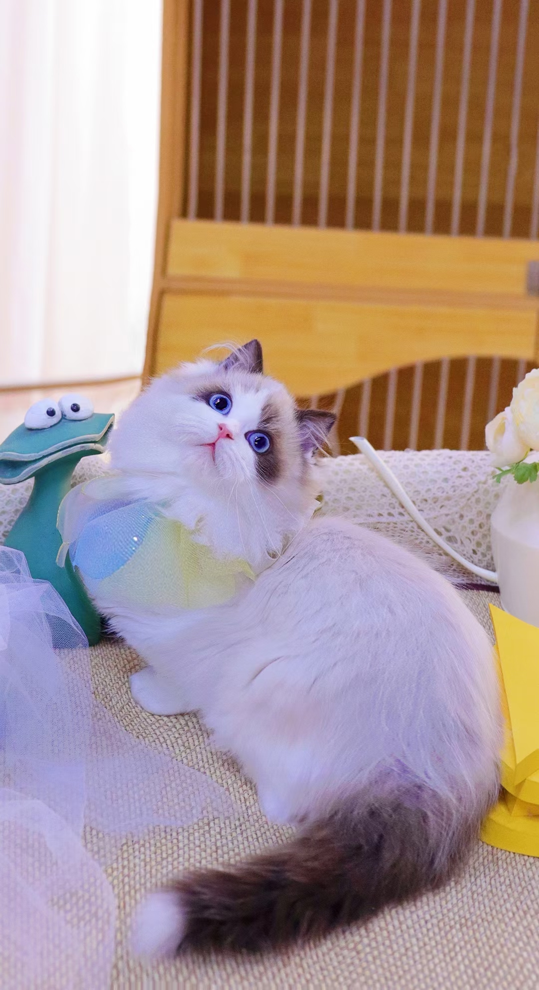 호펫 대표 이미지