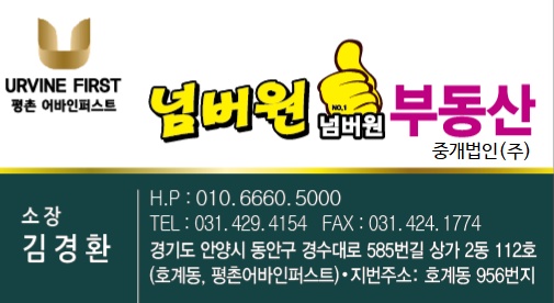 넘버원부동산중개법인