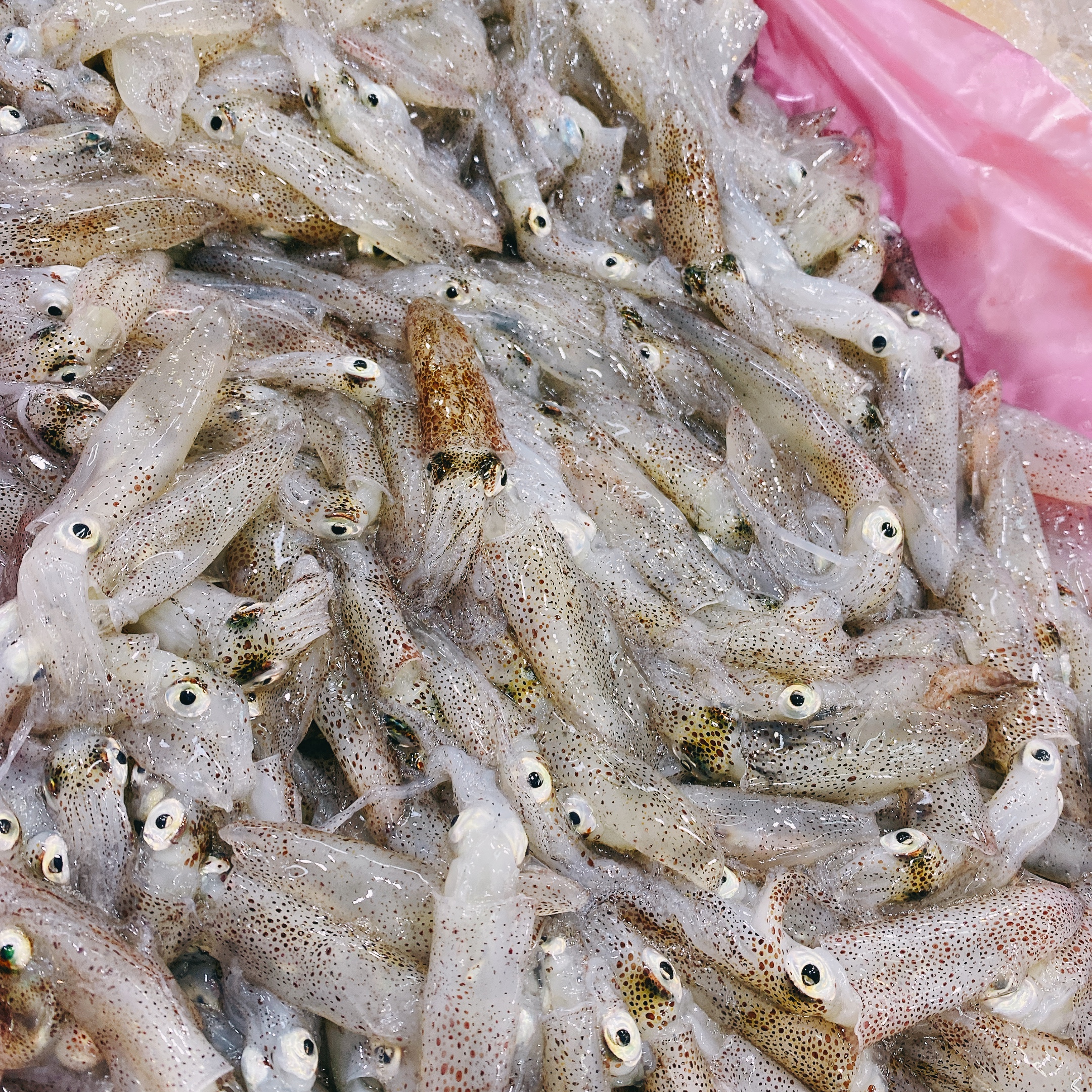 중앙수산