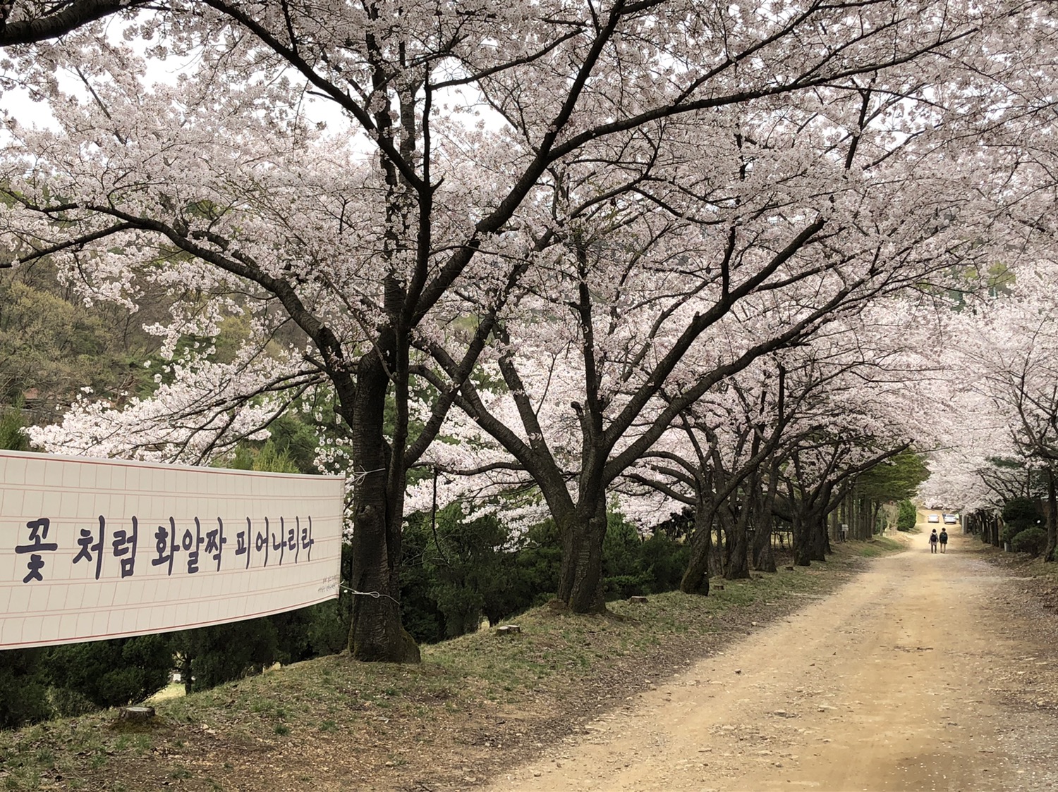 새싹동산 청려수련원 사진 5