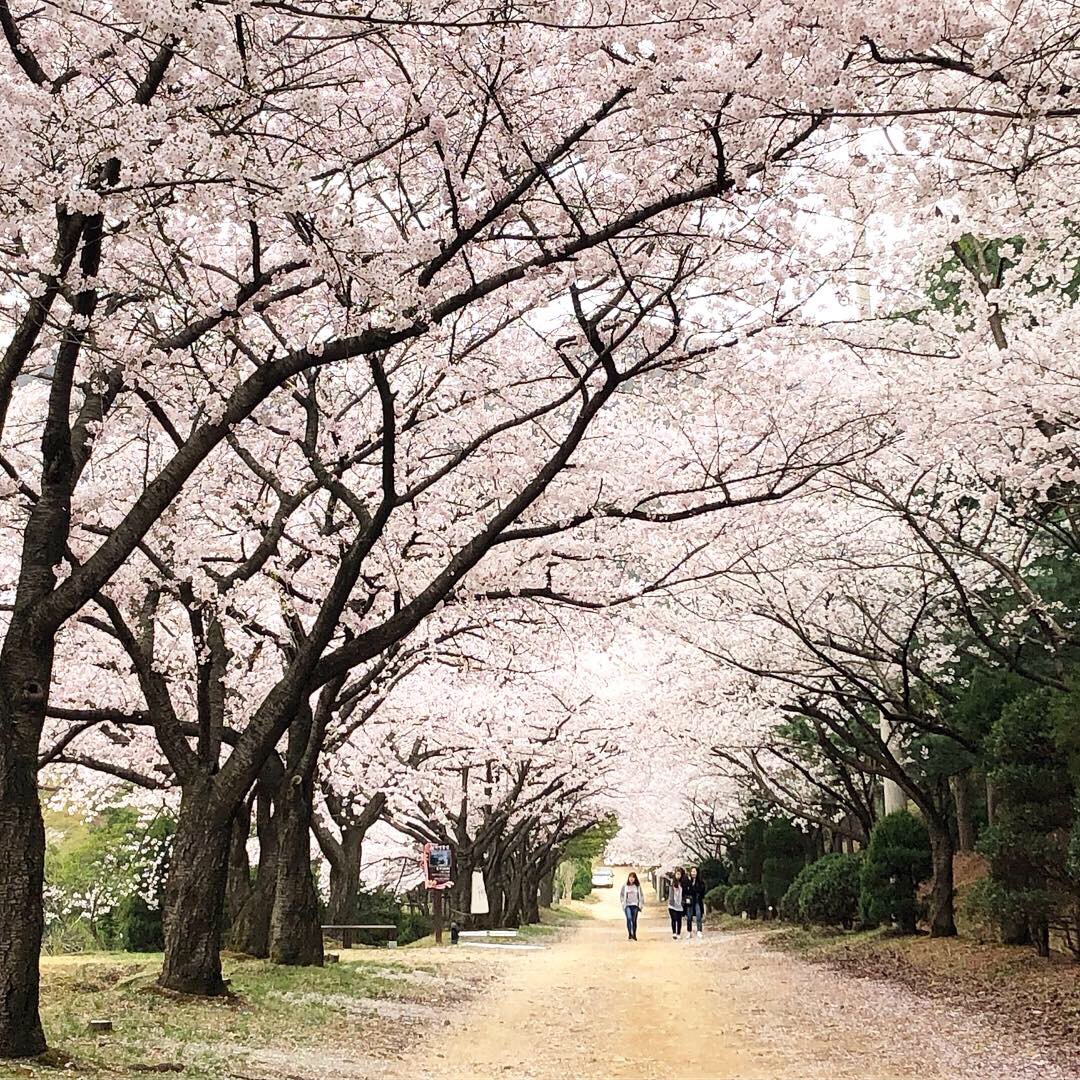 새싹동산 청려수련원 사진 3