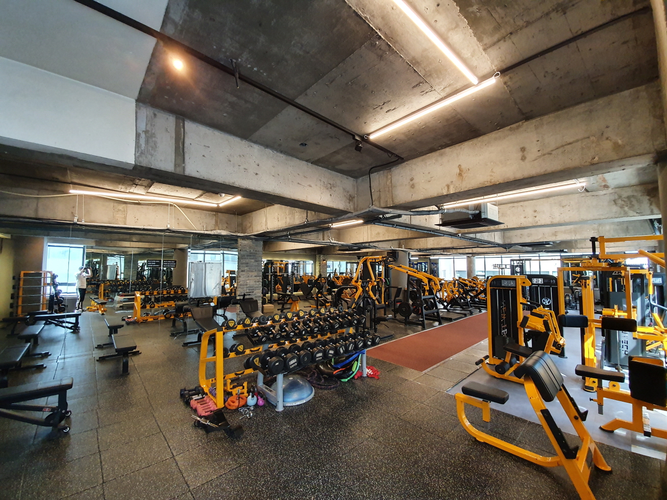 진우웰니스 대표 이미지