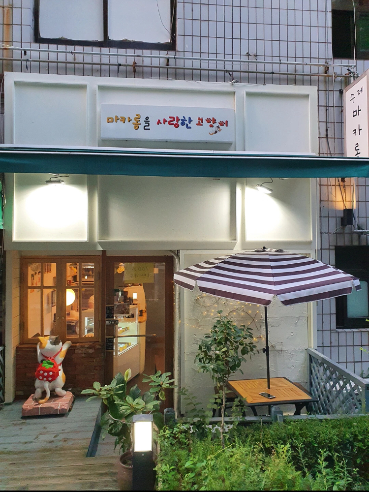 마카롱을 사랑한 고양이
