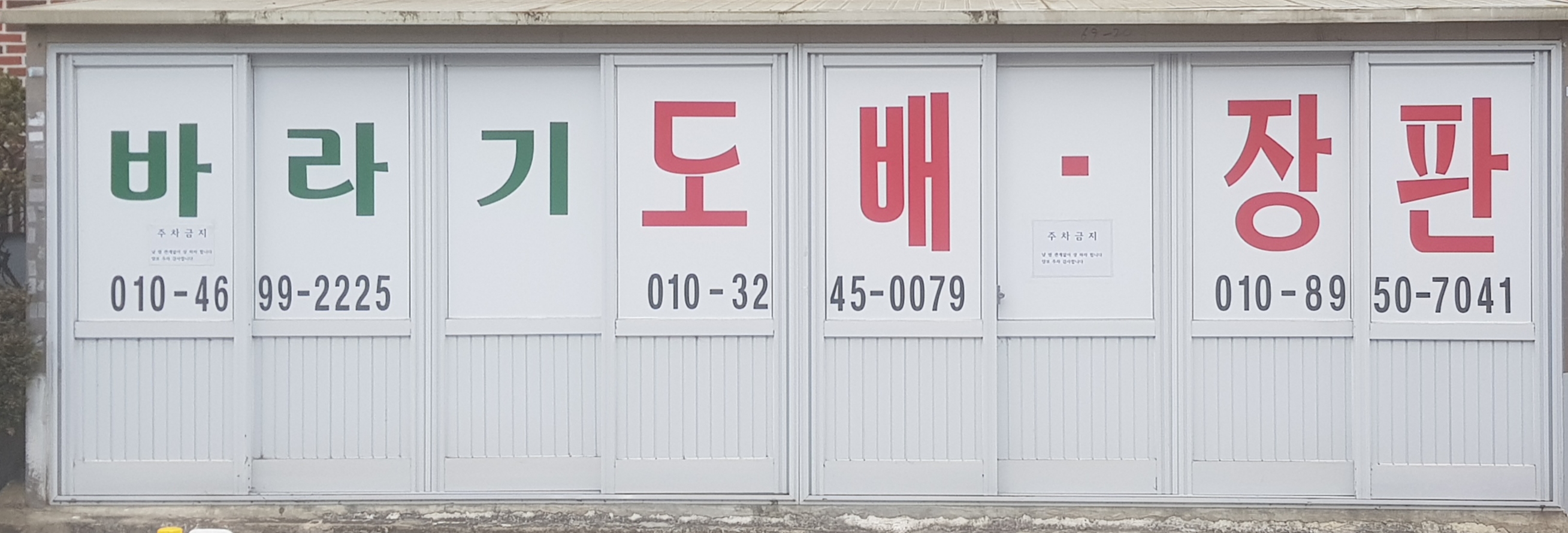 바라기