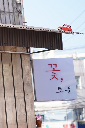 꽃집,로이