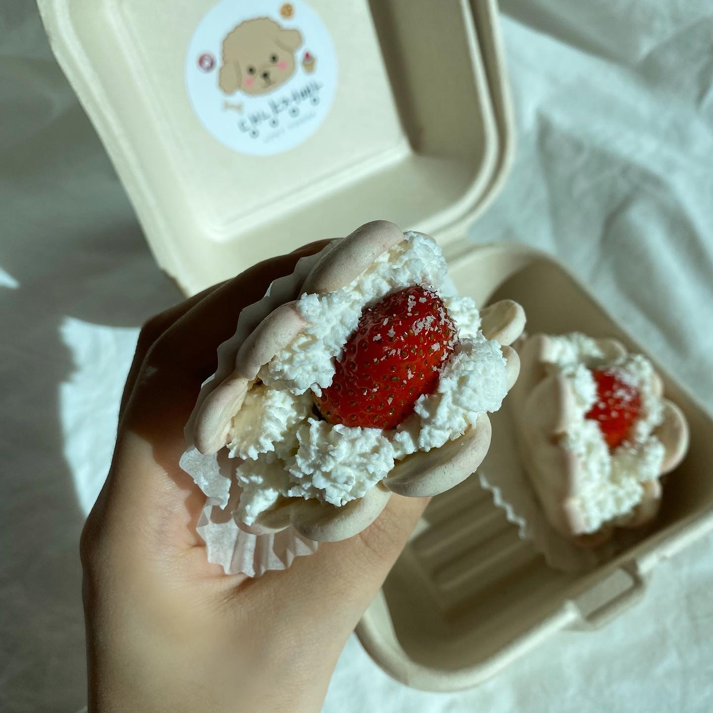 댕냥점빵 대표 이미지