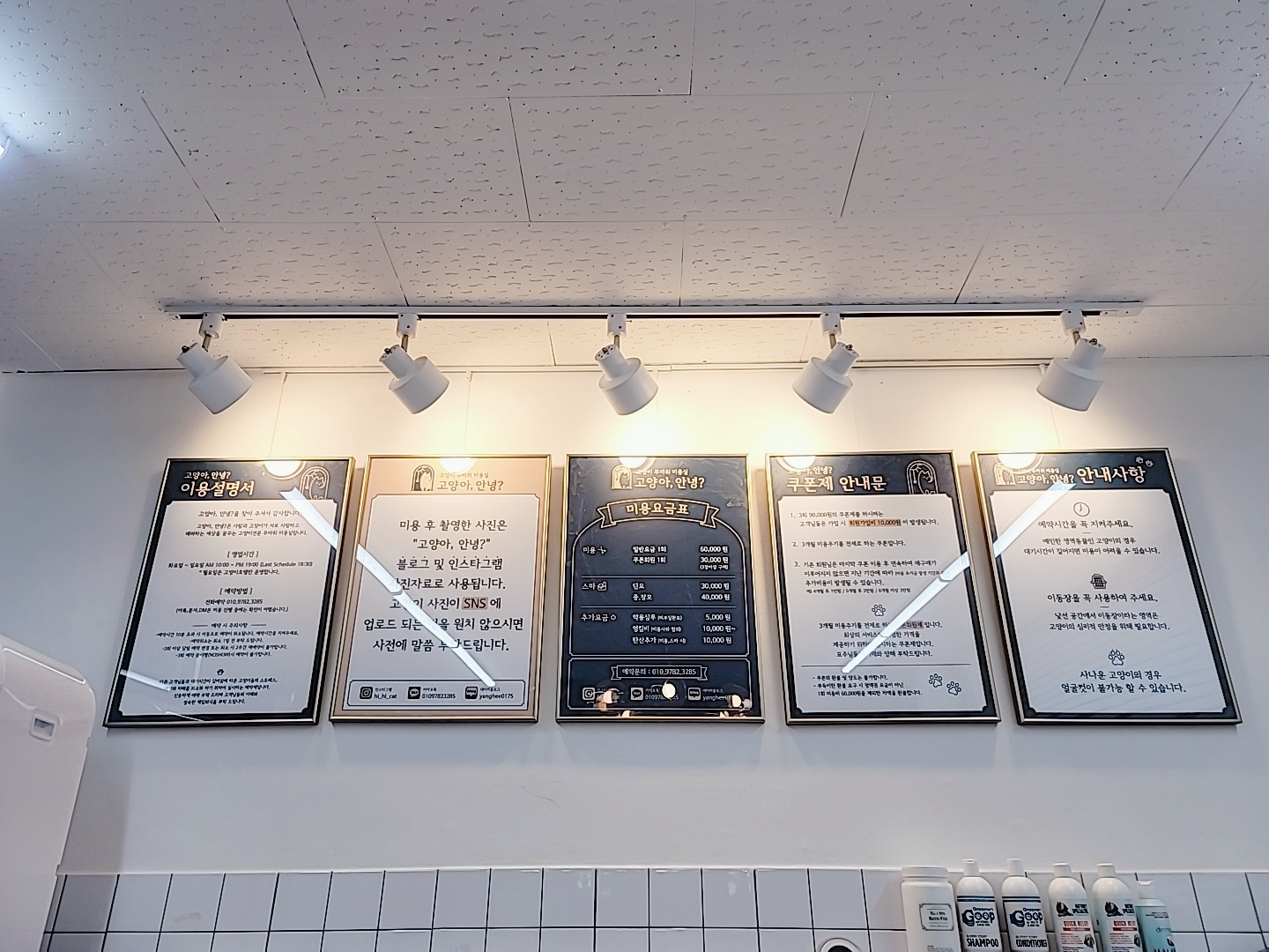 고양아안녕 대표 이미지