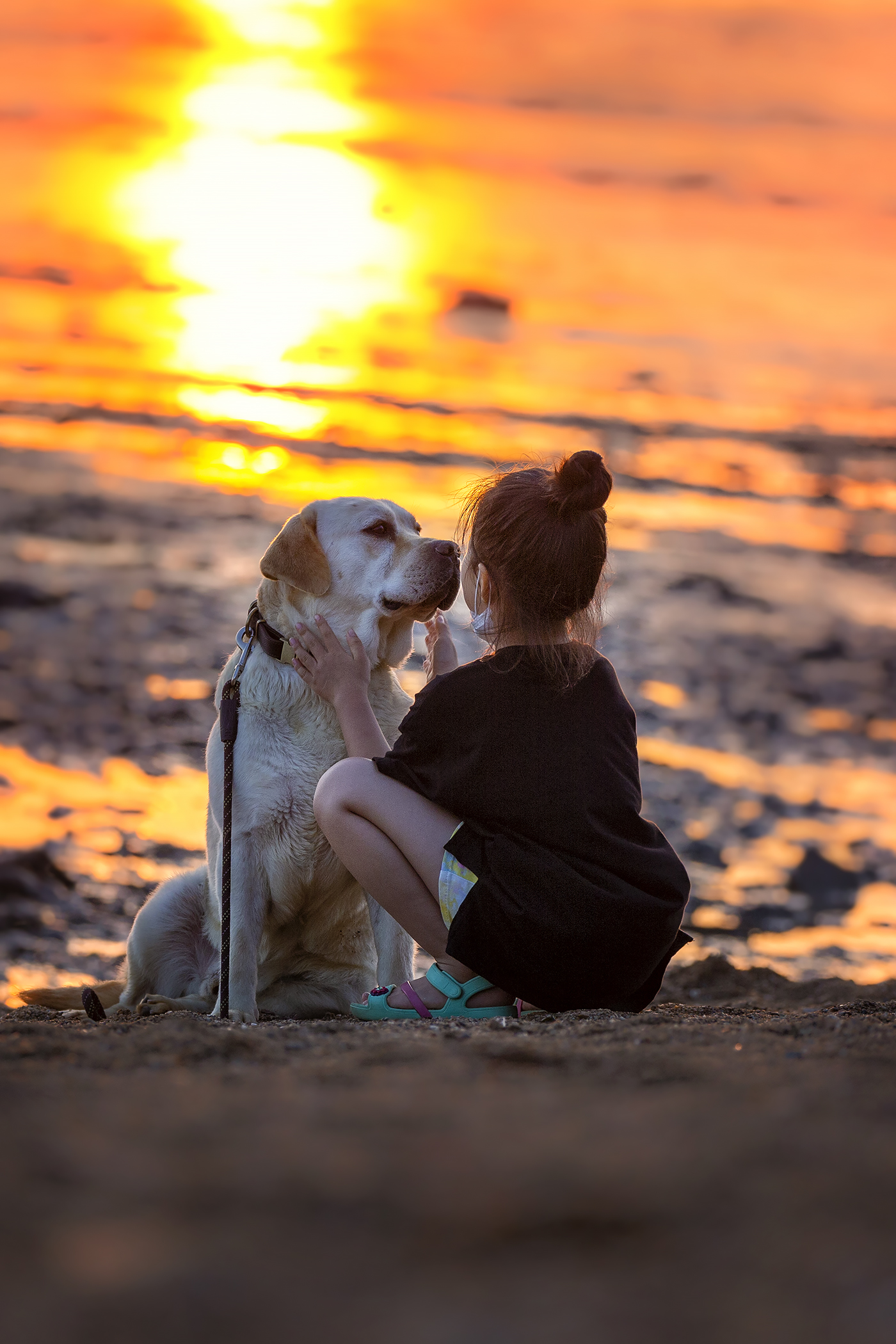 휴먼앤독 대표 이미지