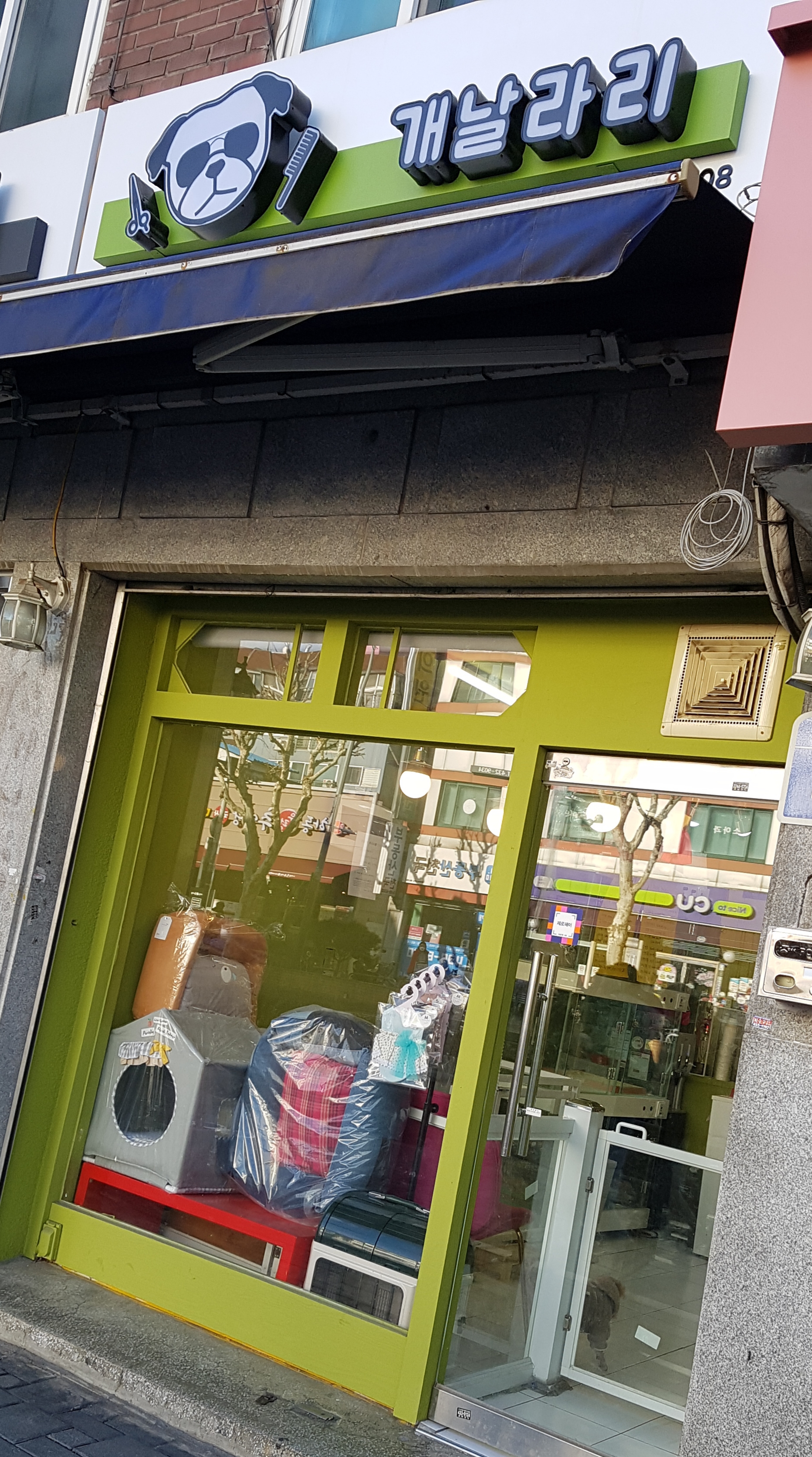 개날라리 대표 이미지