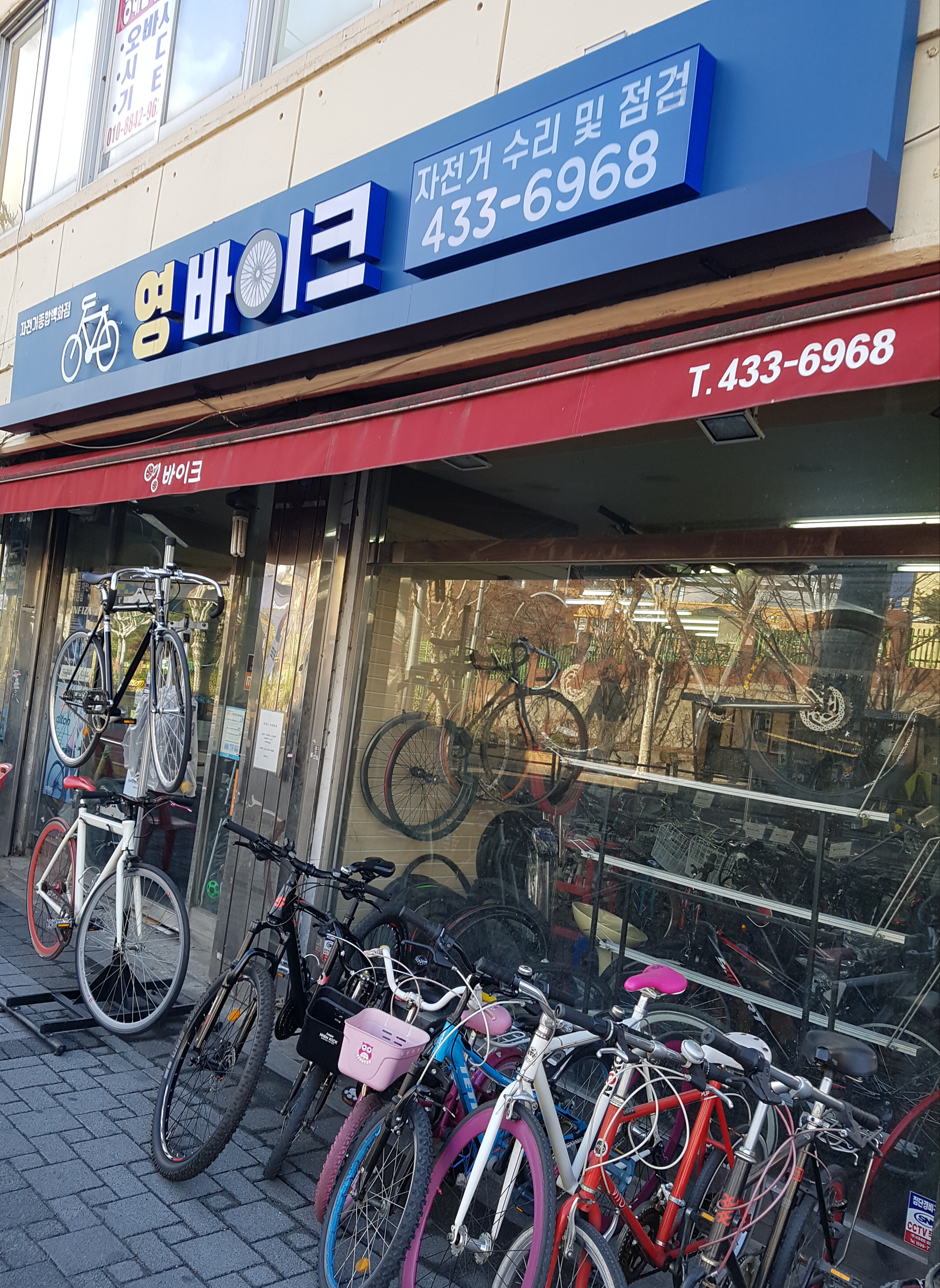 영바이크 대표 이미지