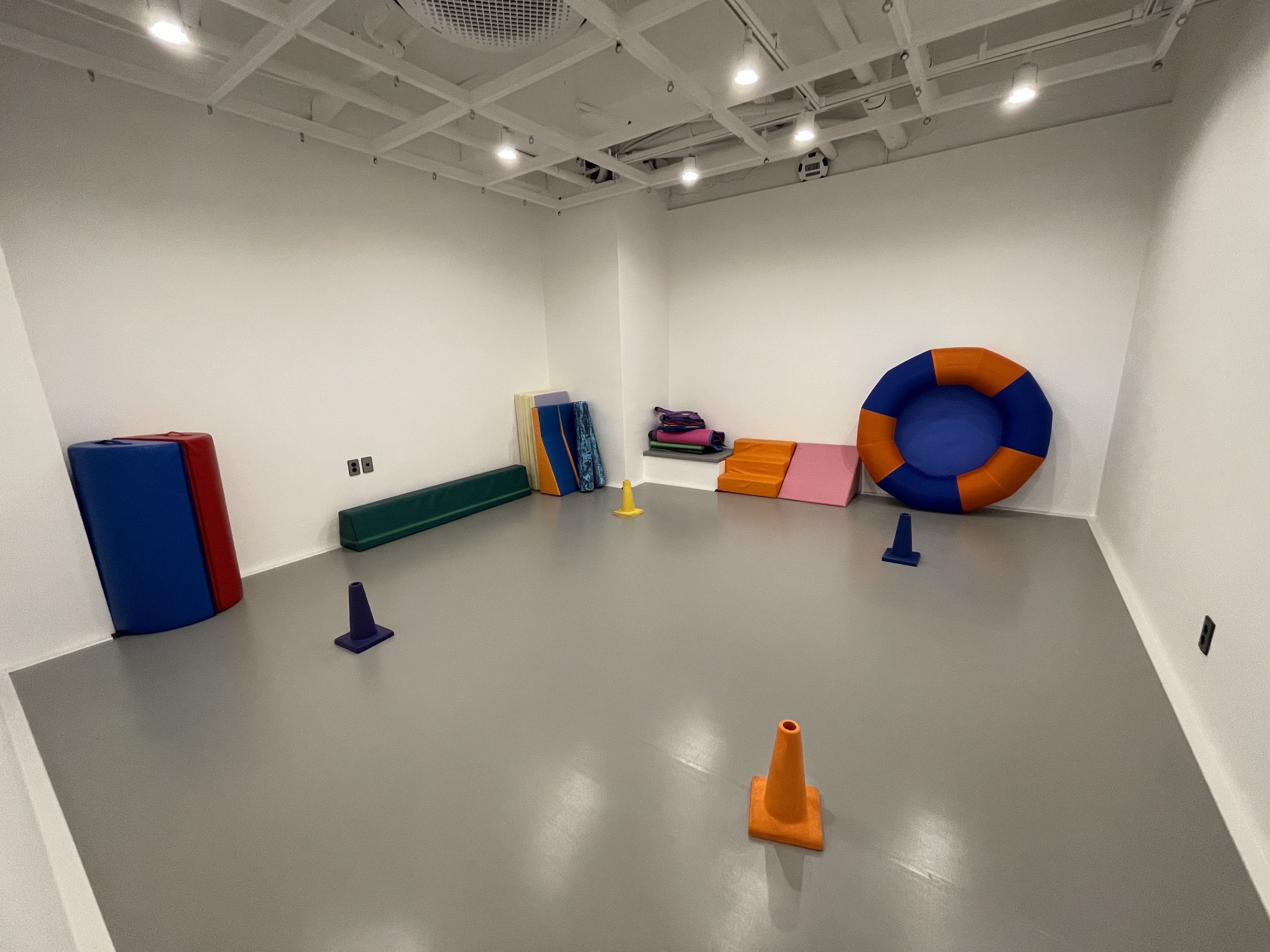 오름동행 발달특수체육교육연구소 대표 이미지