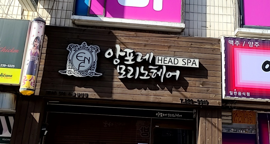앙포레모리노헤어 권선점