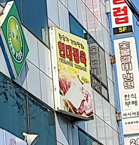 현대정육