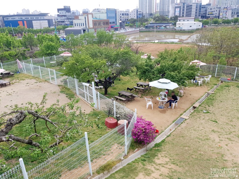 브이독 2