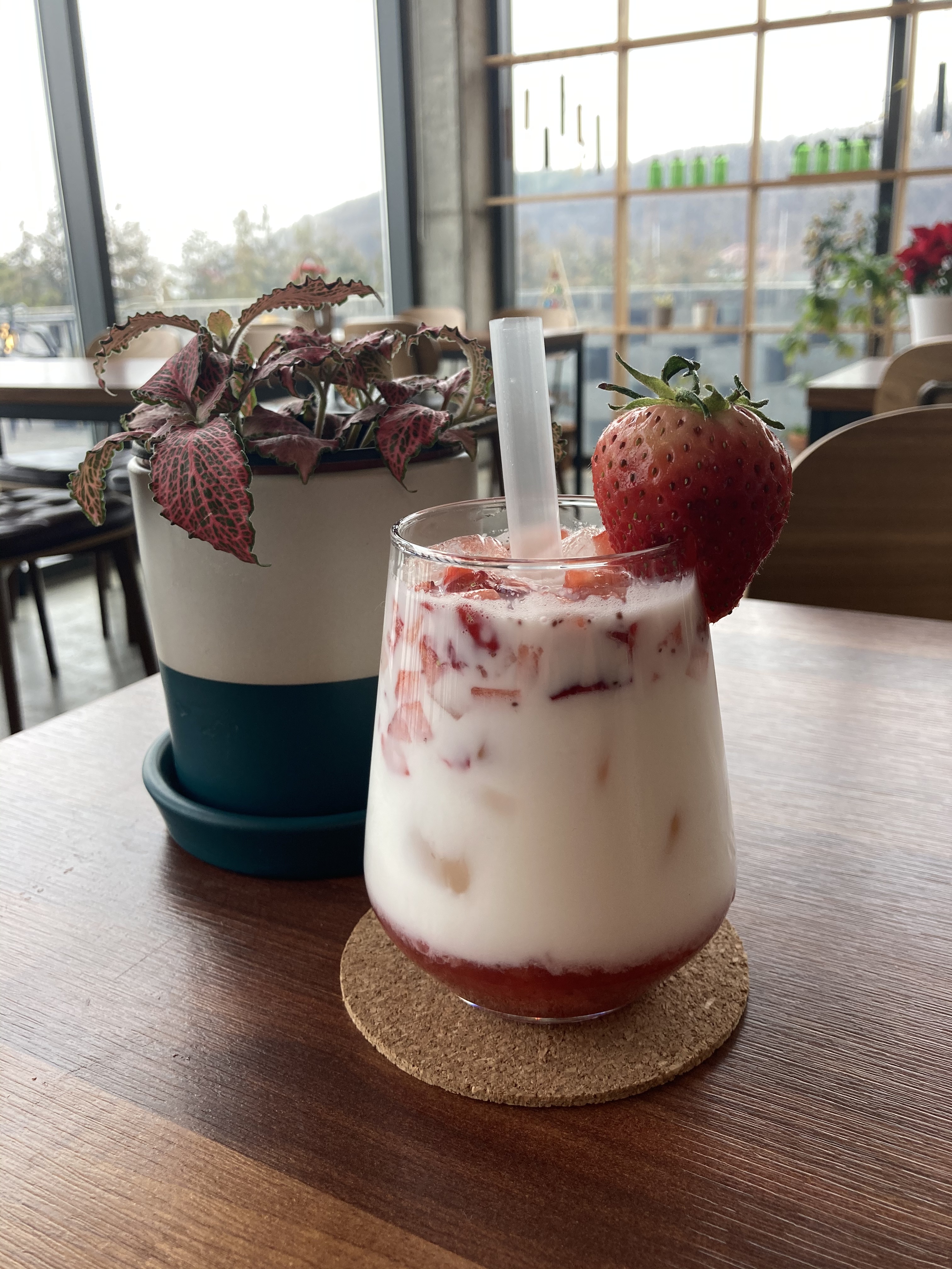 카페노체
