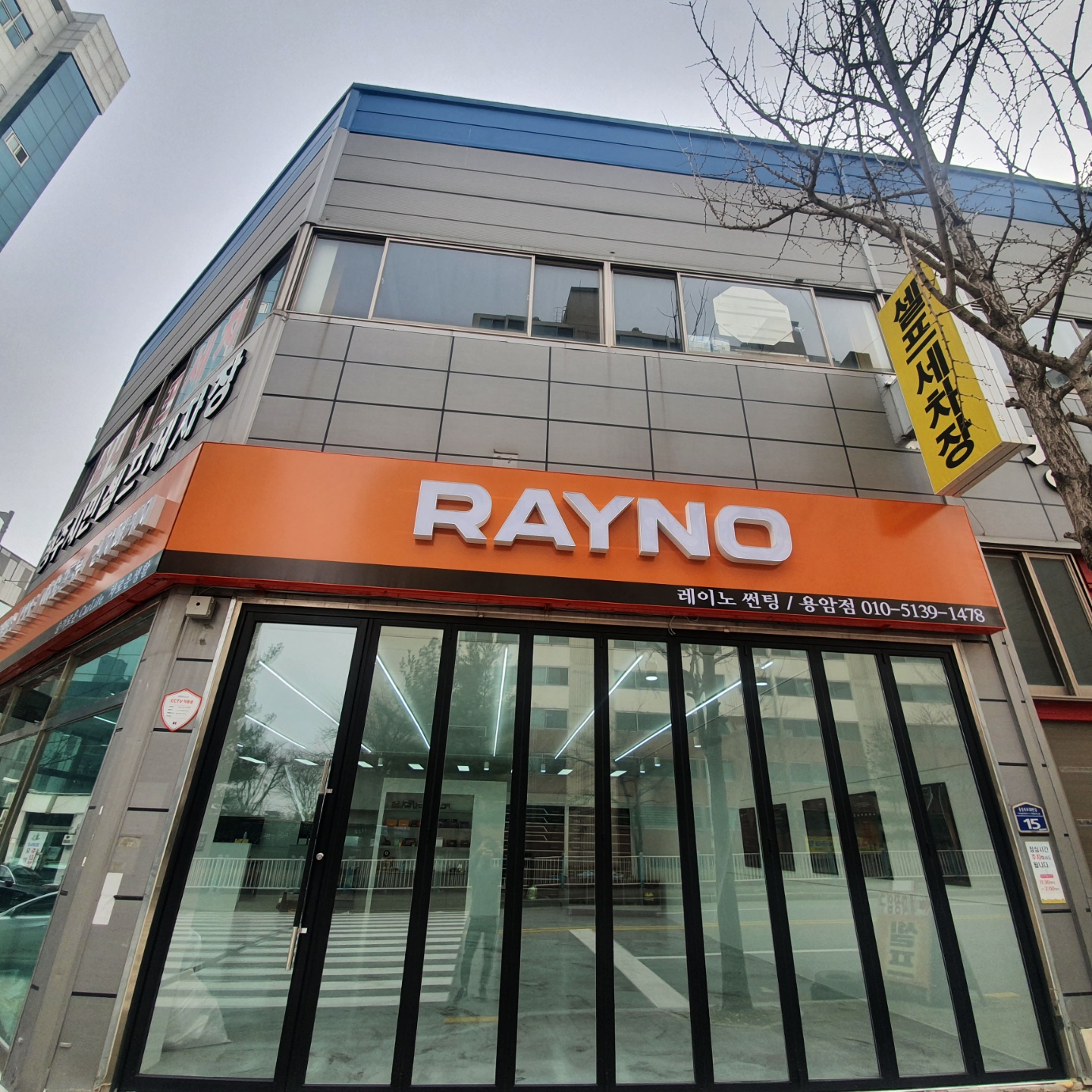 브이쿨 레이노 차로운생활