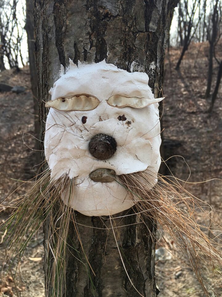 숲놀이