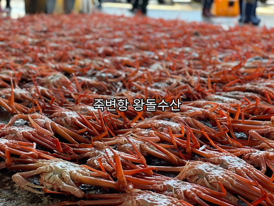 왕돌수산