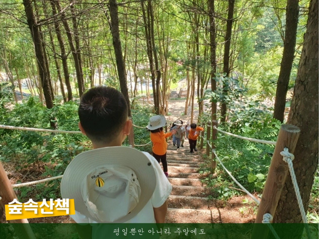 너랑나랑 유아숲체험원