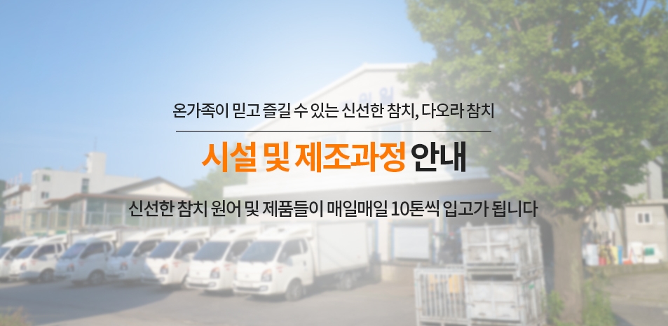 다오라참치