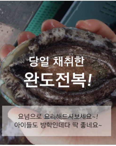 태경이네