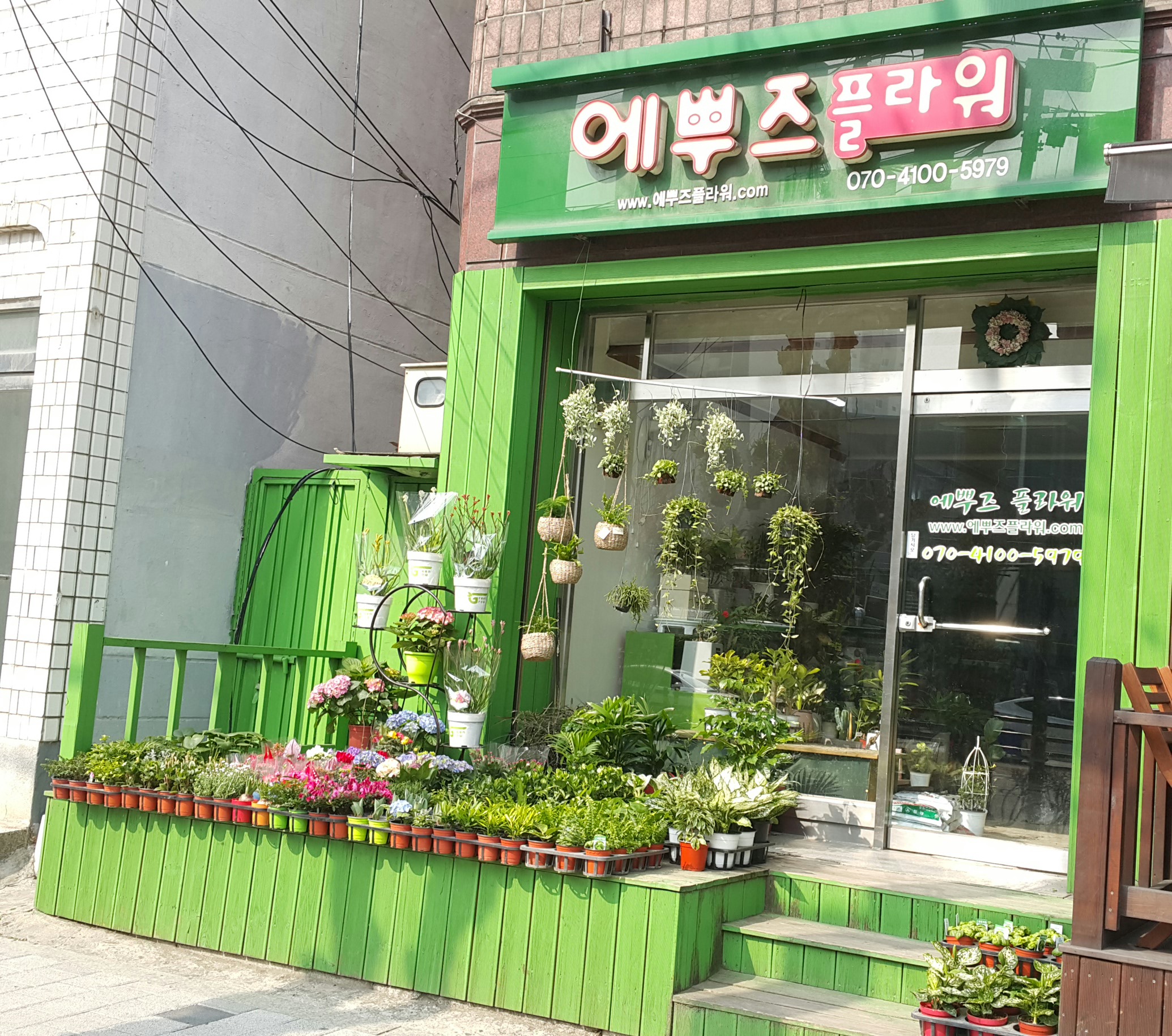 에뿌즈플라워