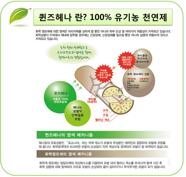 퀸즈헤나 남산동점