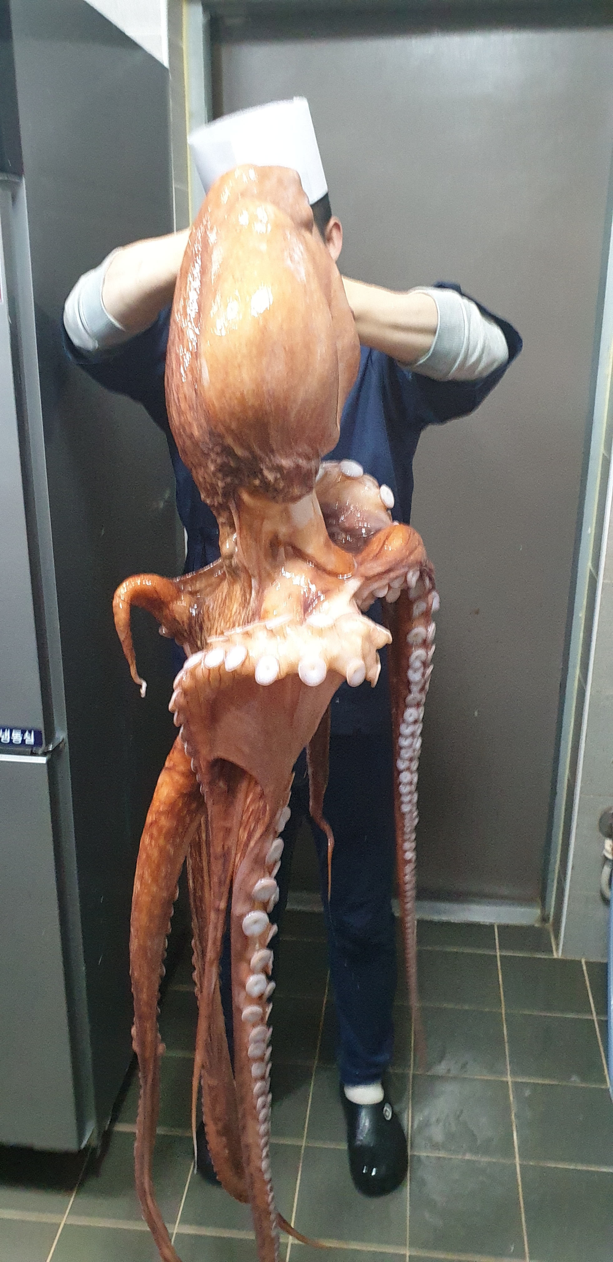 소풍 수제초밥전문점
