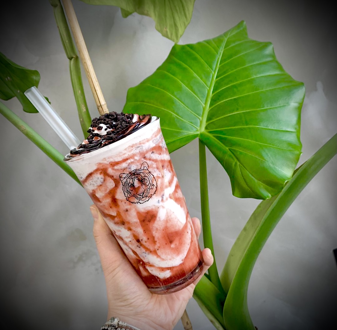 커피먹는호랑이