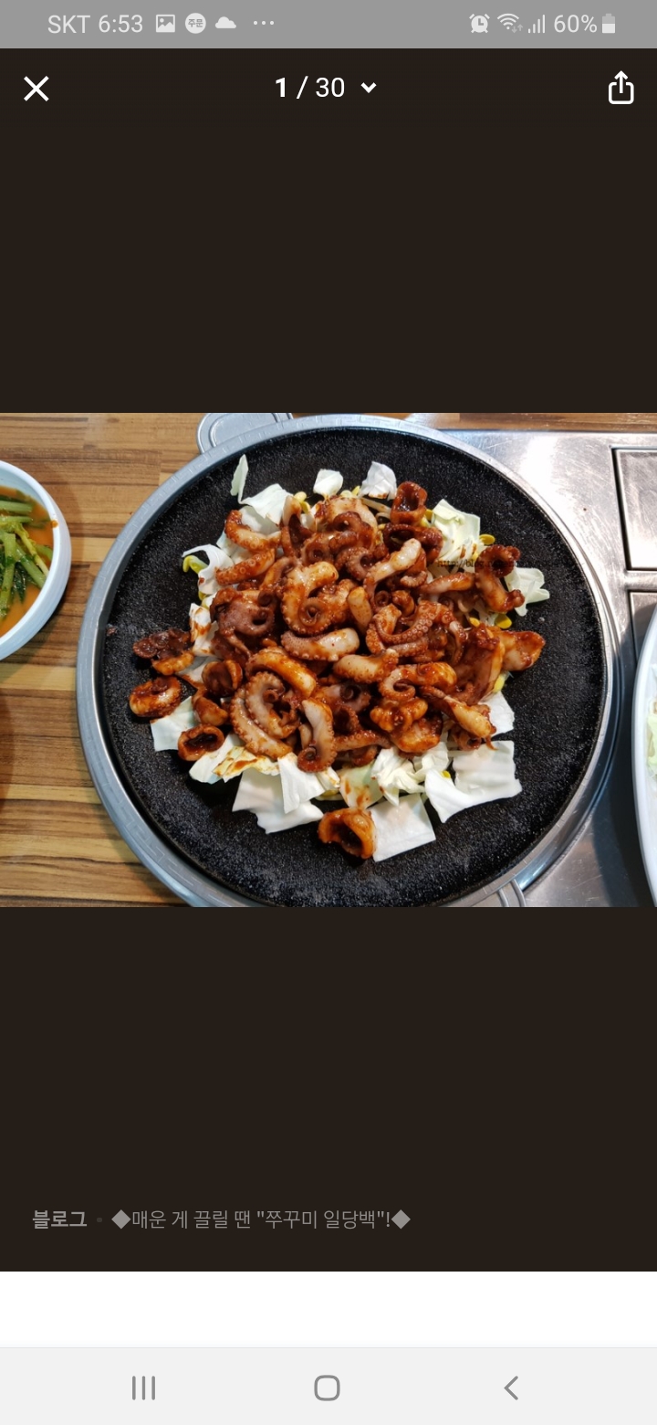 쭈꾸미 일당백 사진 8