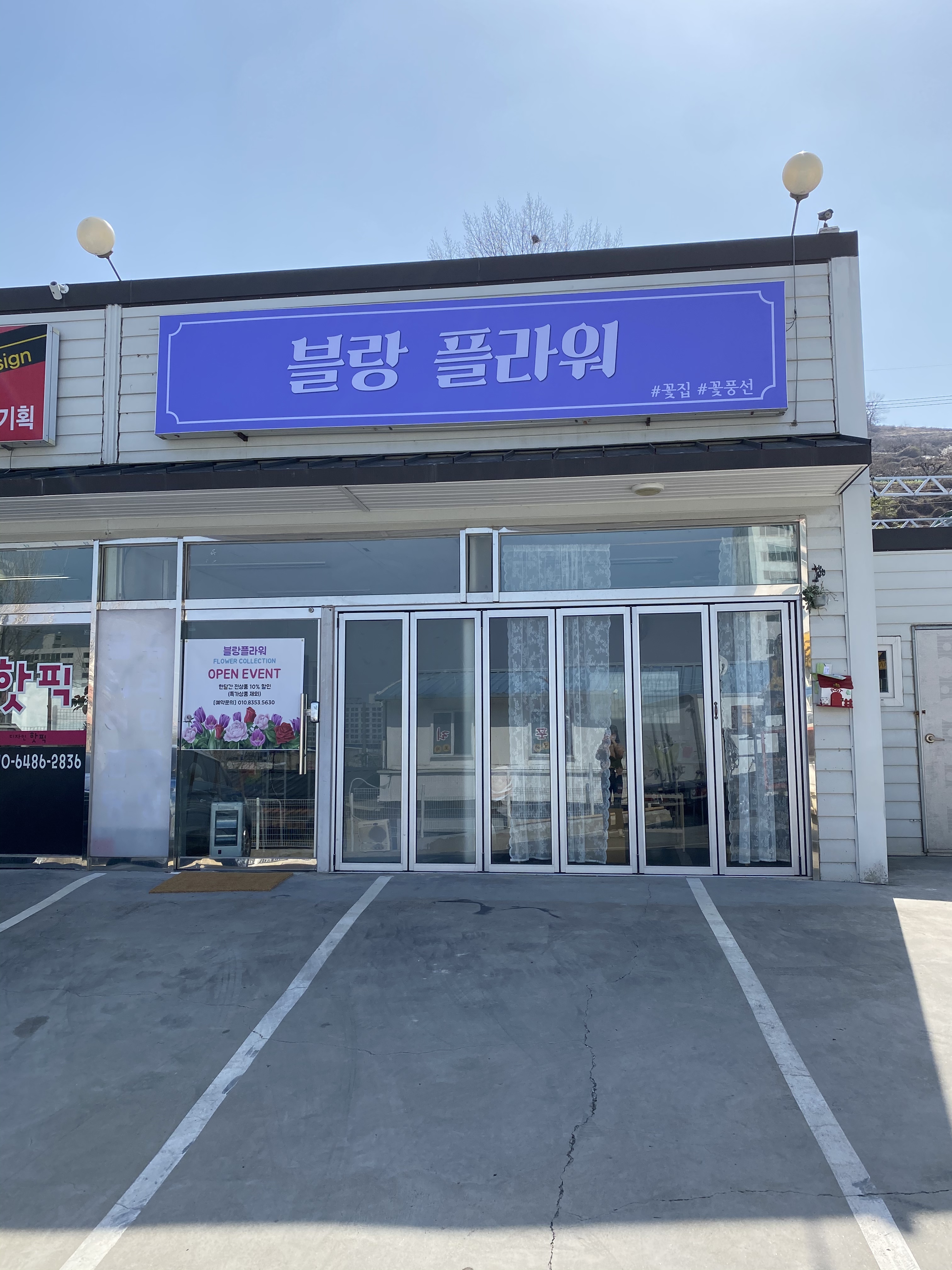 블랑플라워