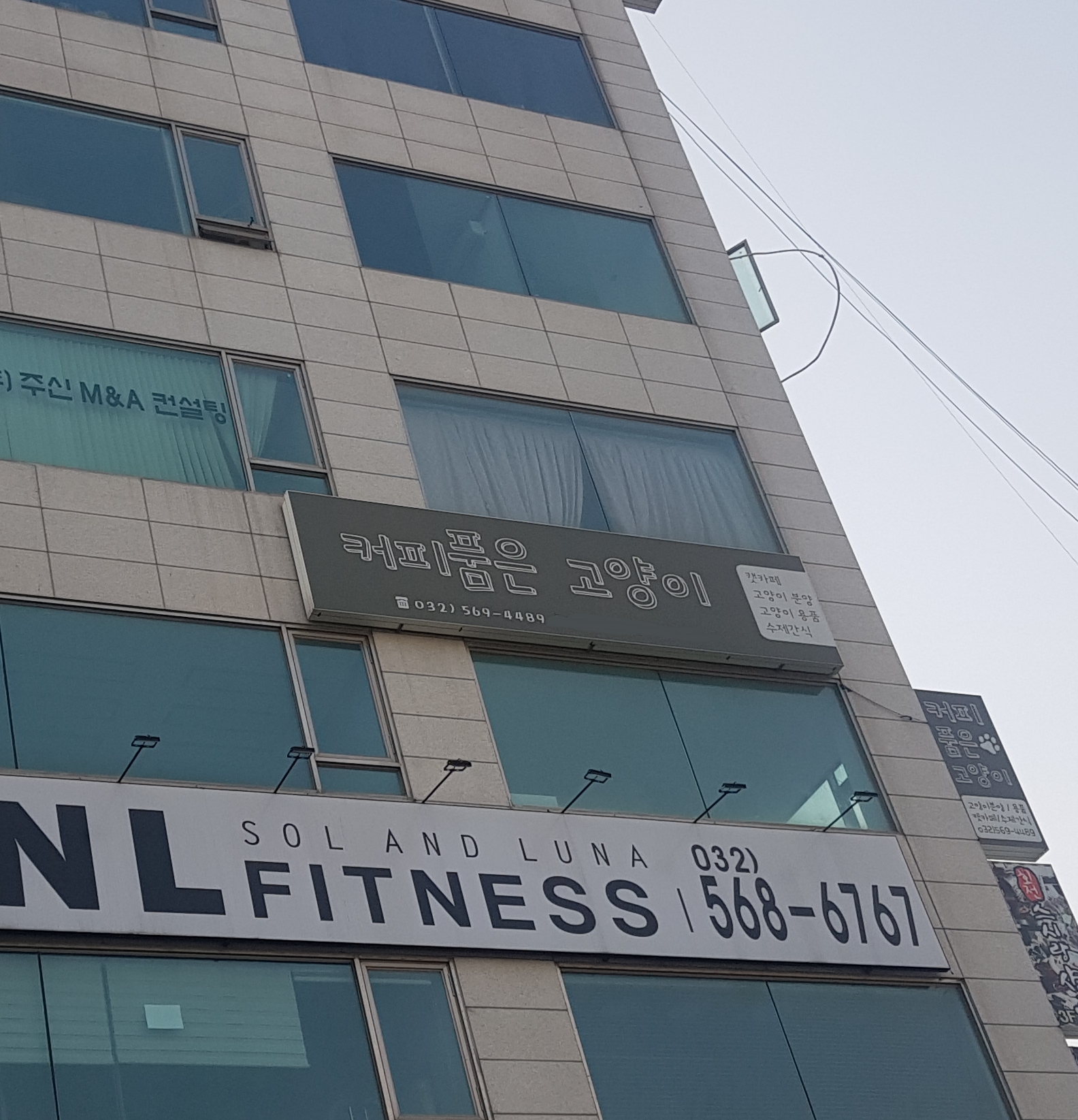 커피품은고양이