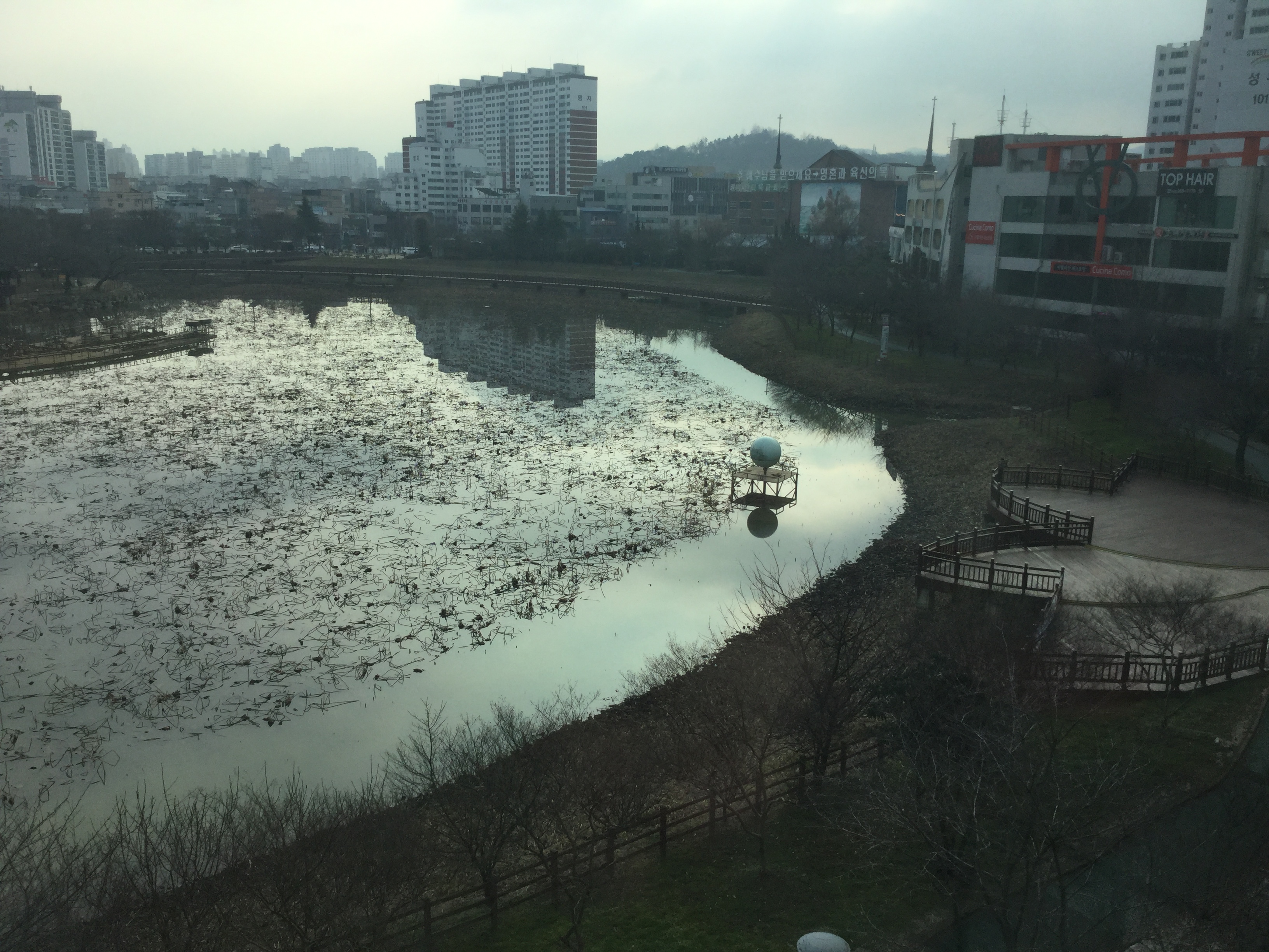 발달운동교실 푸른나침반 대표 이미지