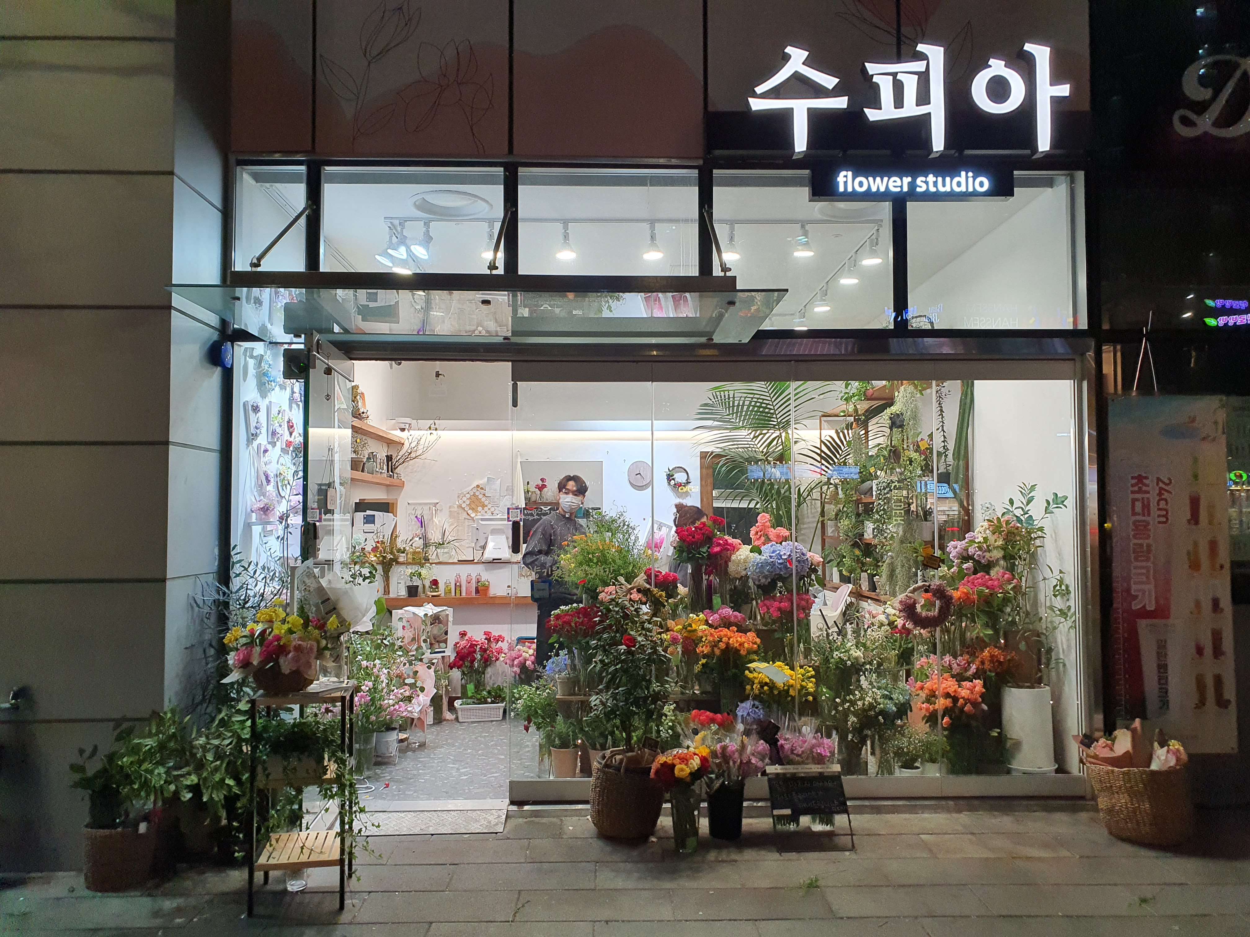 수피아 플라워